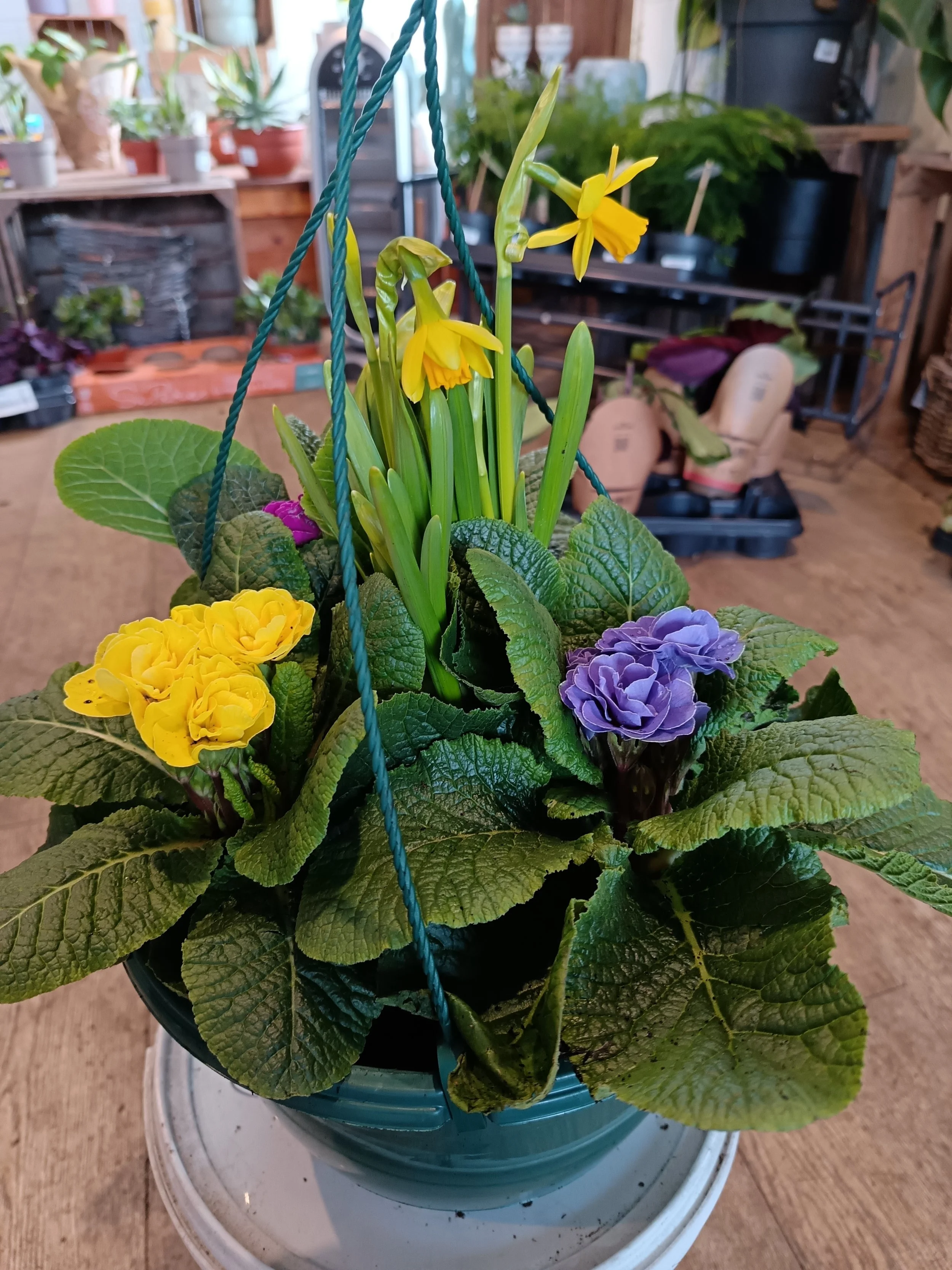 Spring Hanging Basket