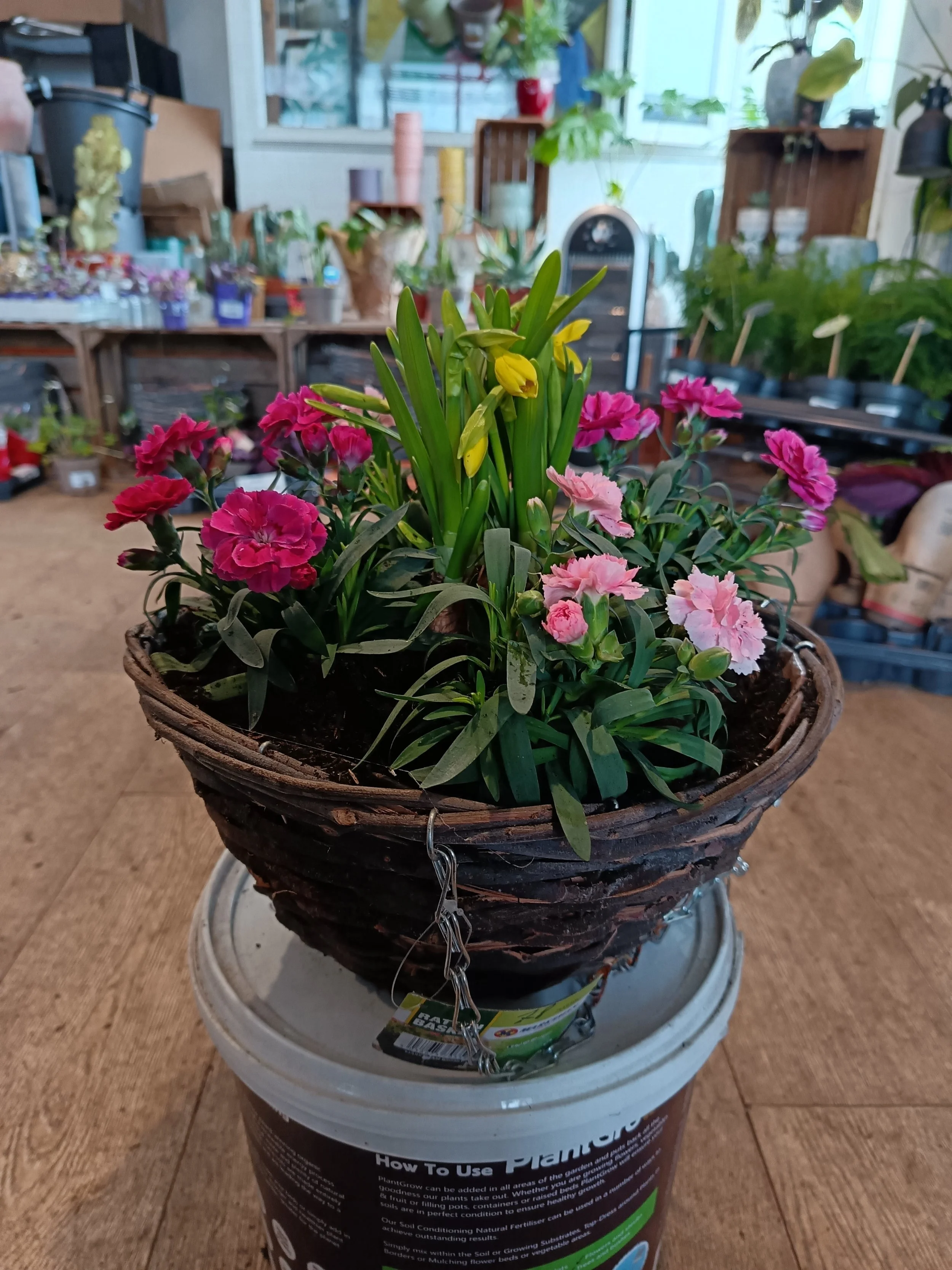 Wicker Hanging Basket With Chain