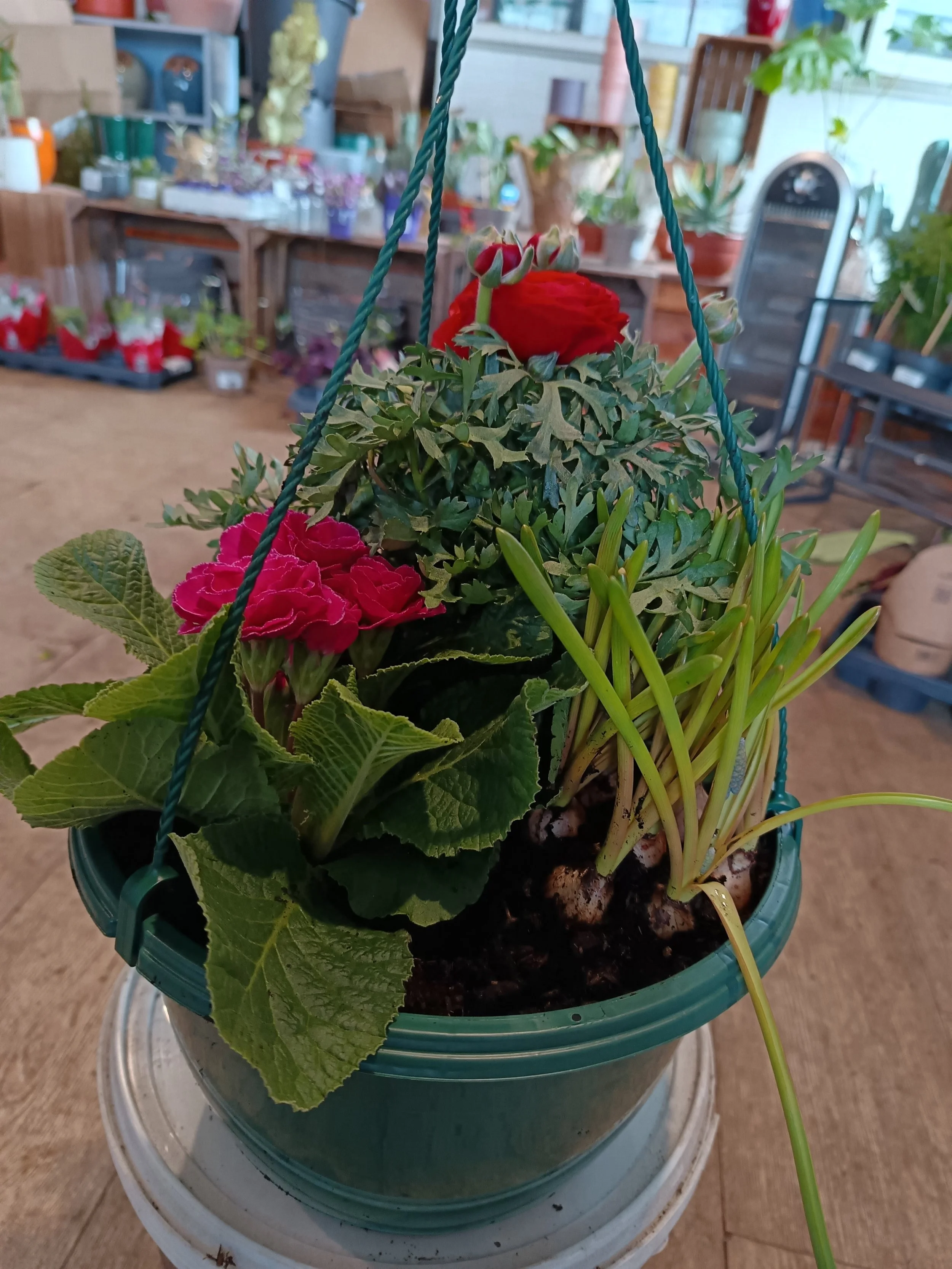 Spring Hanging Basket