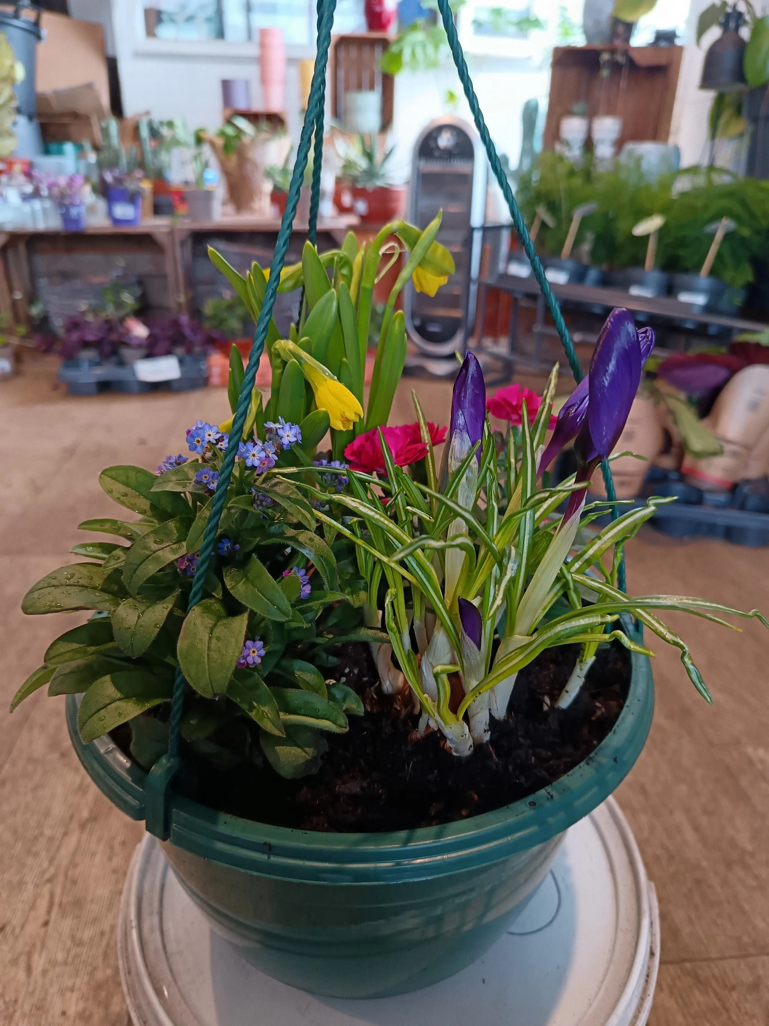 Spring Hanging Basket