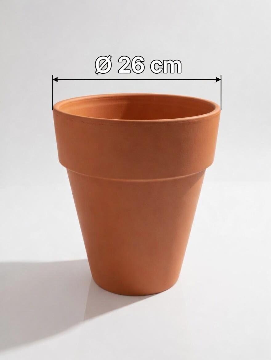 LongTom_Terracotta_Pot-6.jpg