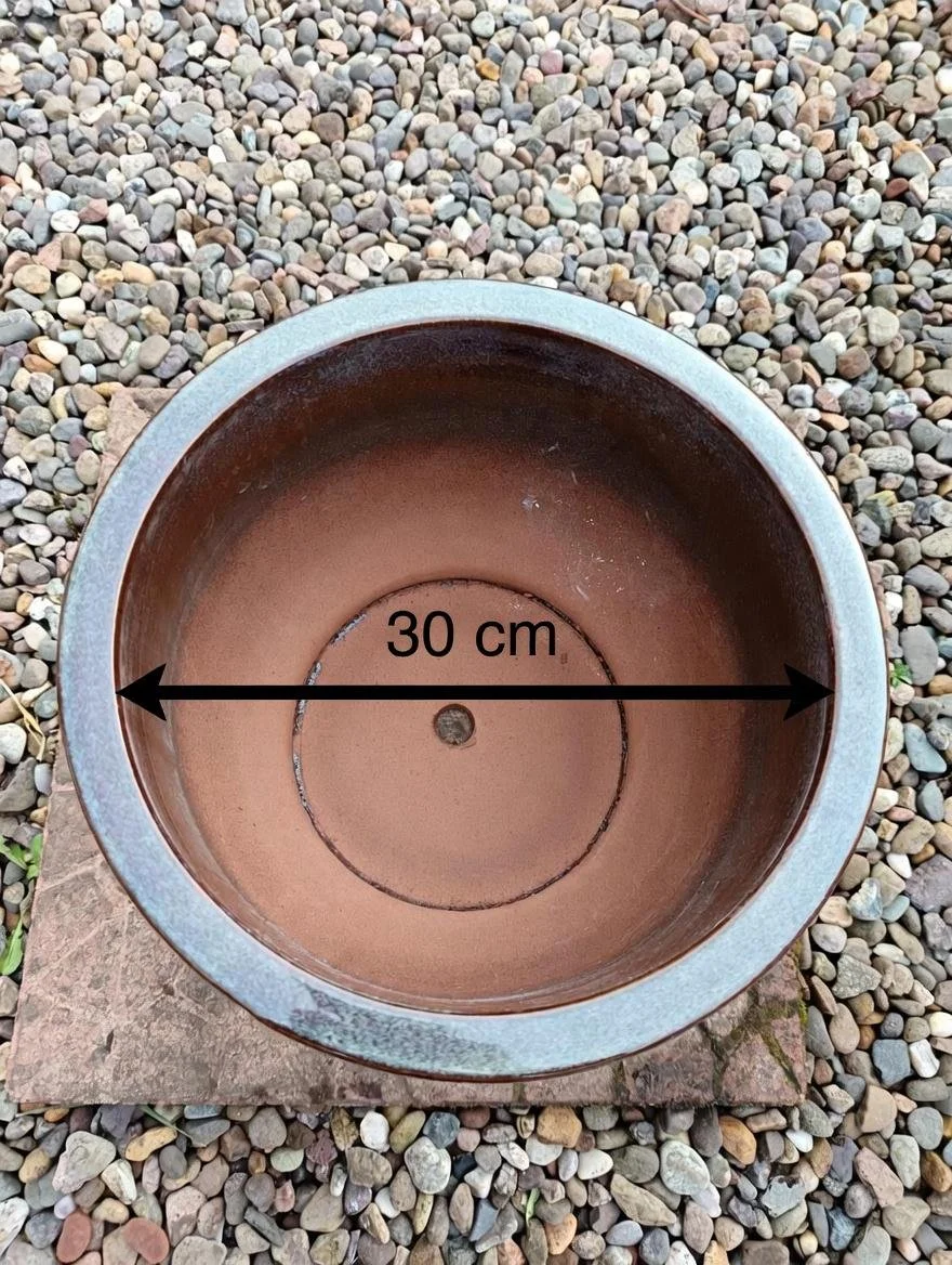 Bronze_Ceramic_Planter-2.jpg