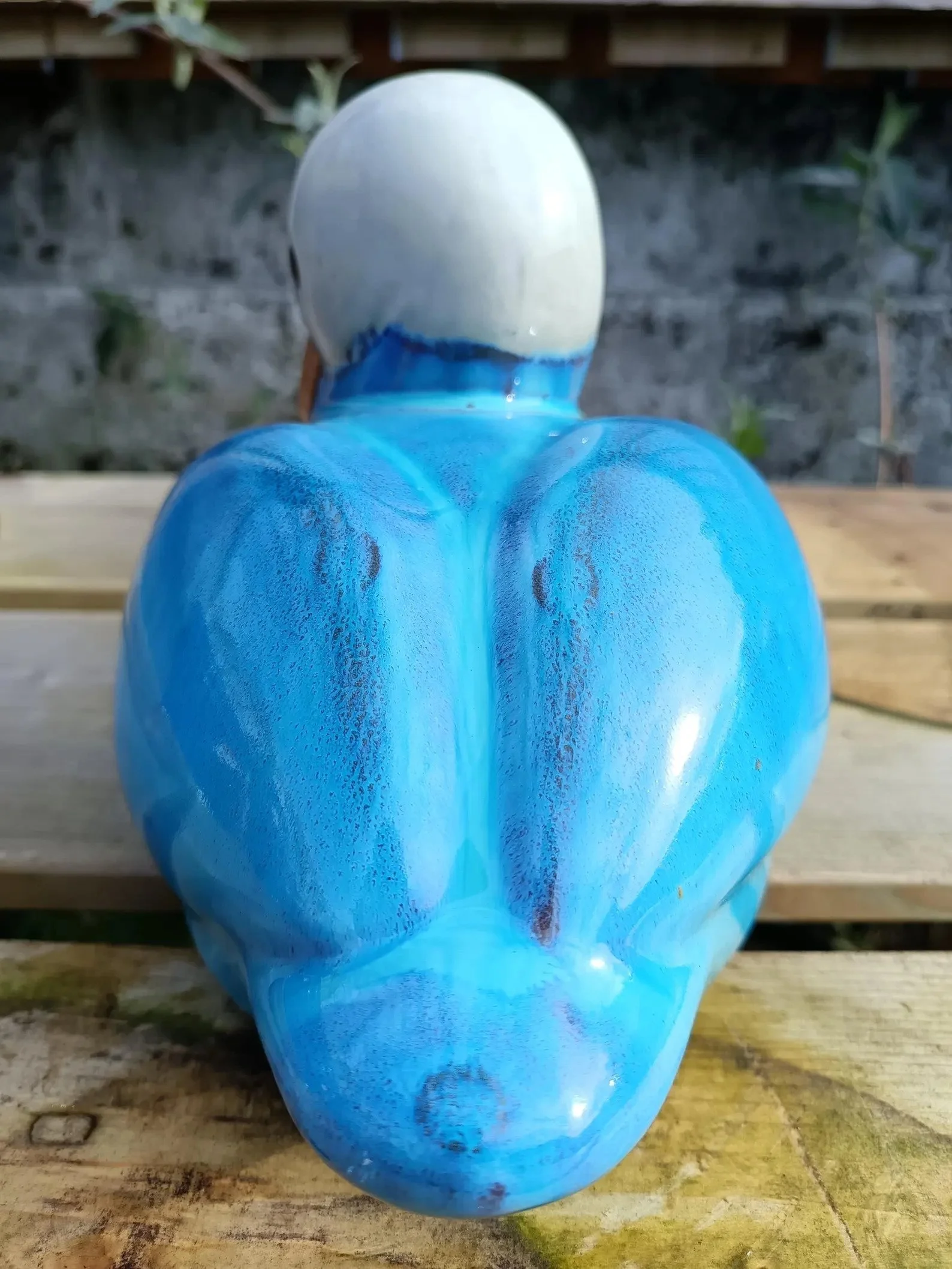 Ceramic_Duck-4.jpg