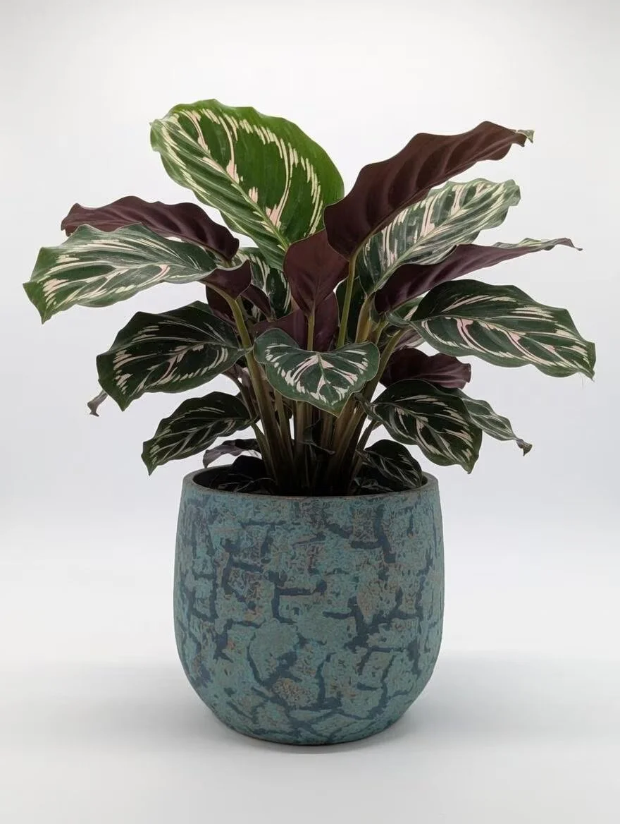 Blue_Ceramic_Matte_Plant-6.jpg