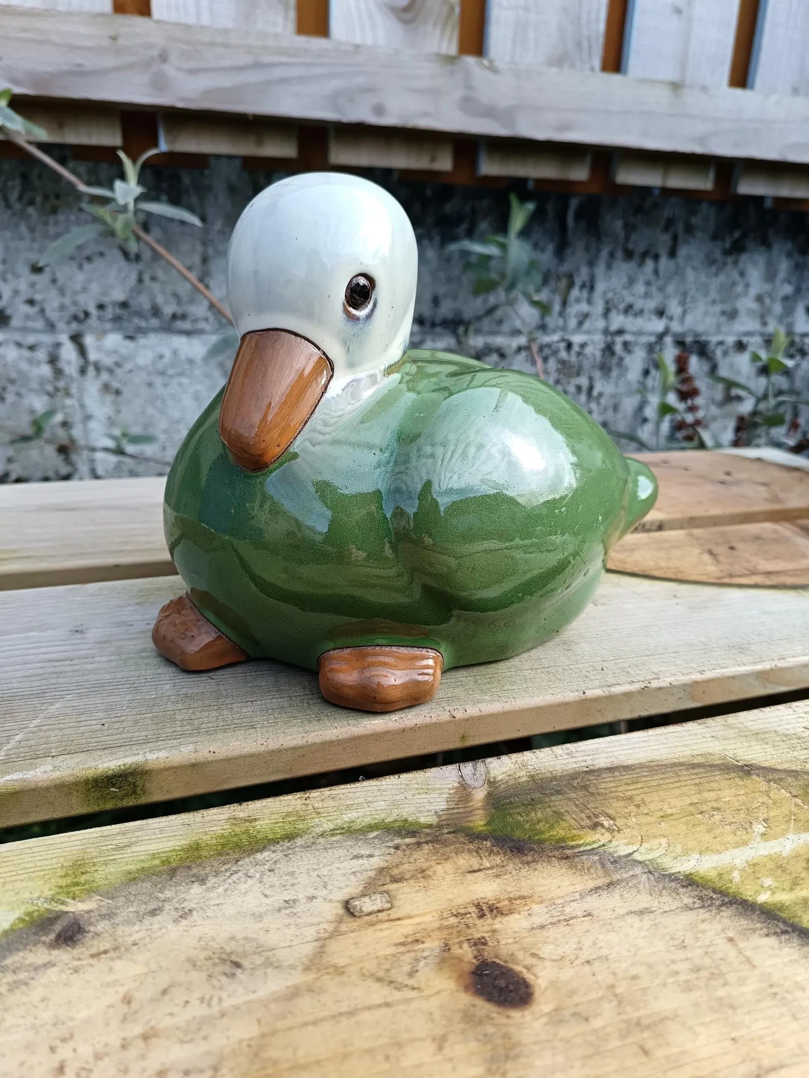Ceramic_Ducl-9.jpg