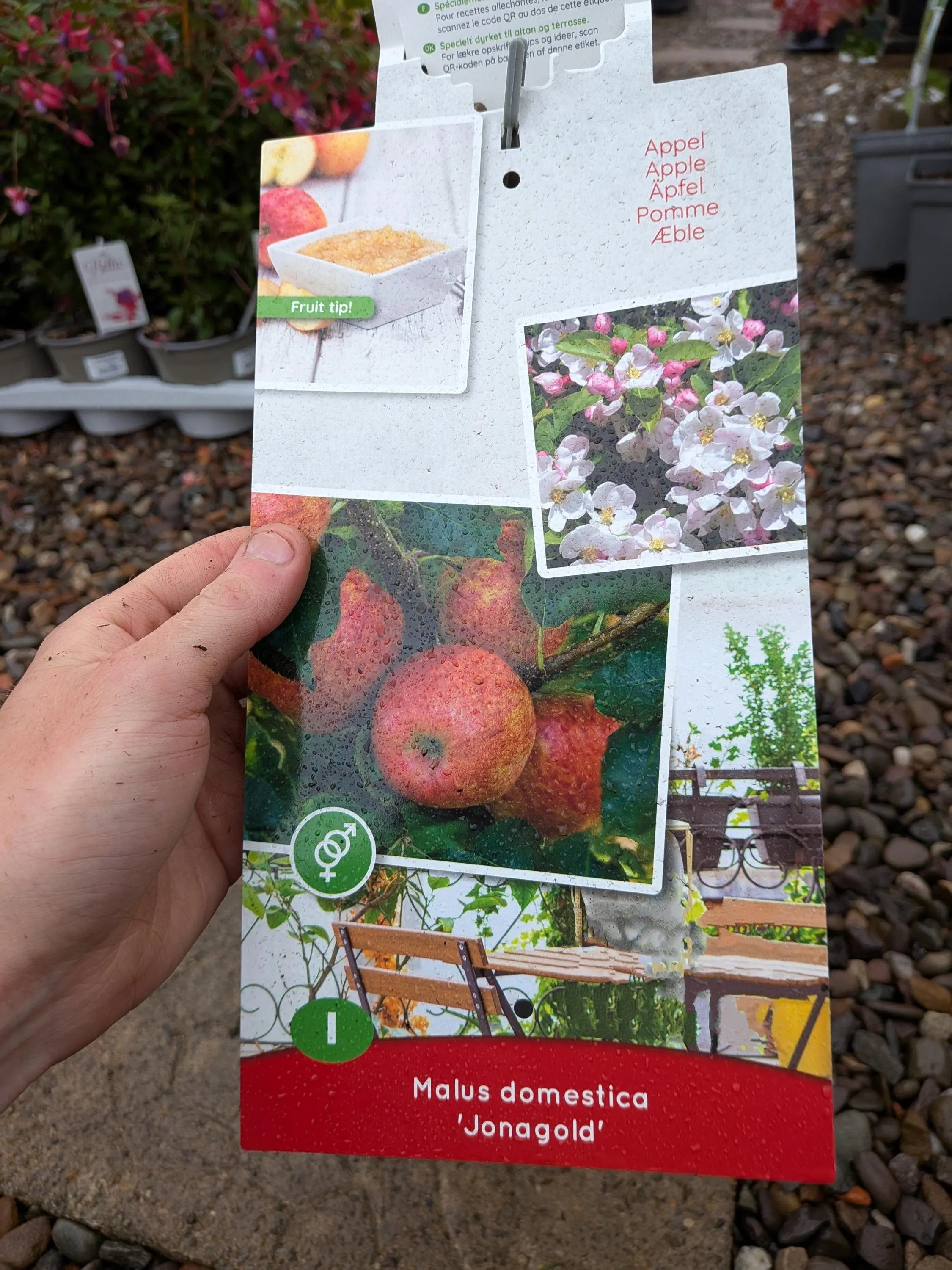 Patio_Fruit_Trees-3.jpg