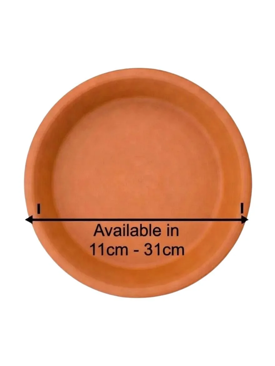 Terracotta_Plant_Saucers-5.jpg