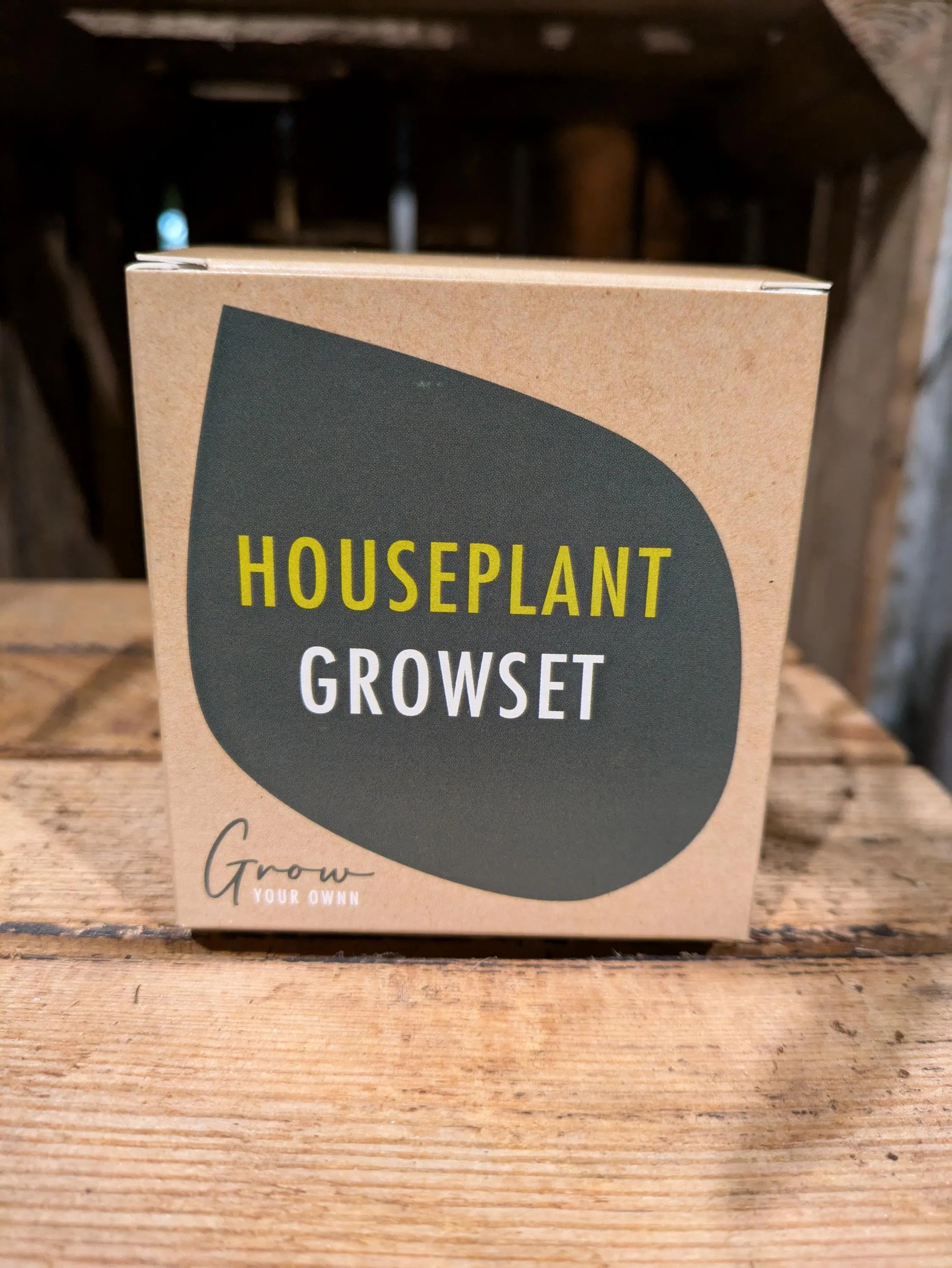 Grow Your Own House Plant Set | Easy-Care Indoor Plants for Home Decor