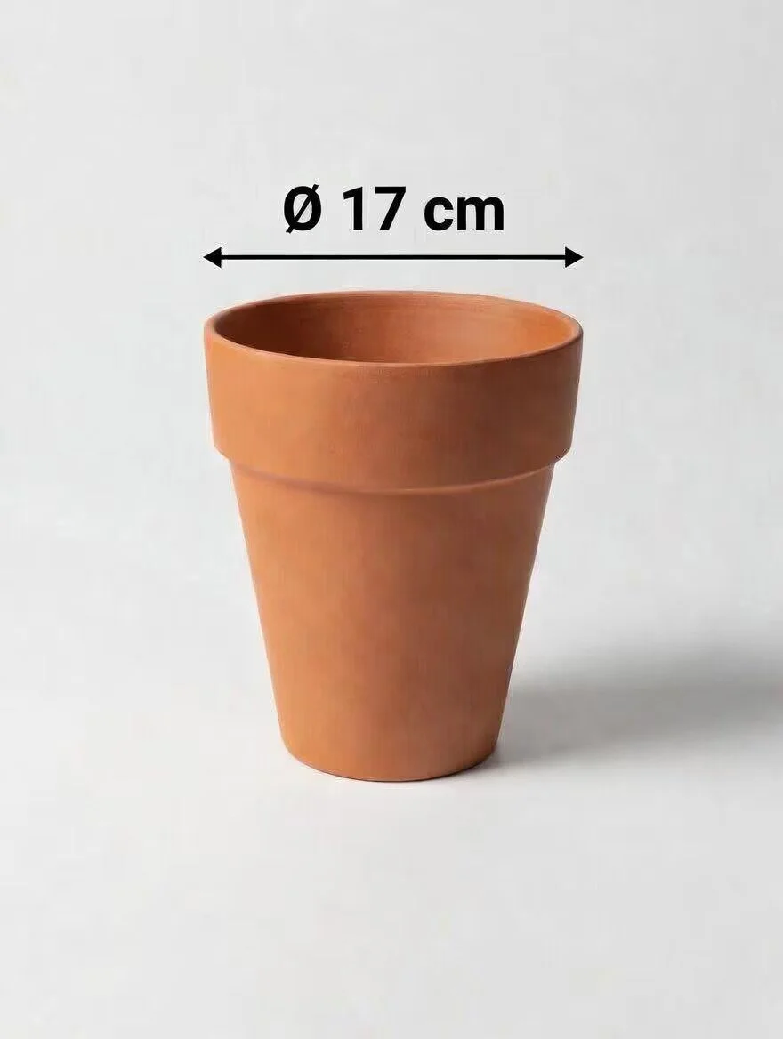 LongTom_Terracotta_Pot-4.jpg
