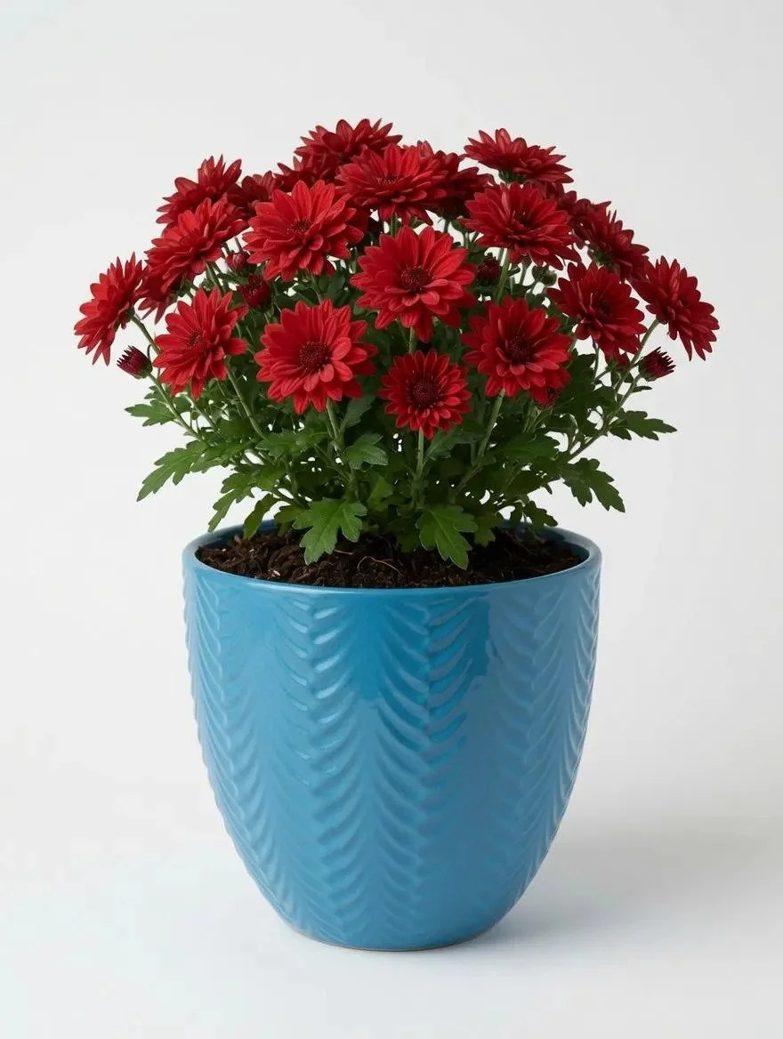 Blue_Glazed_Ceramic_Plant_Pot-4.jpg