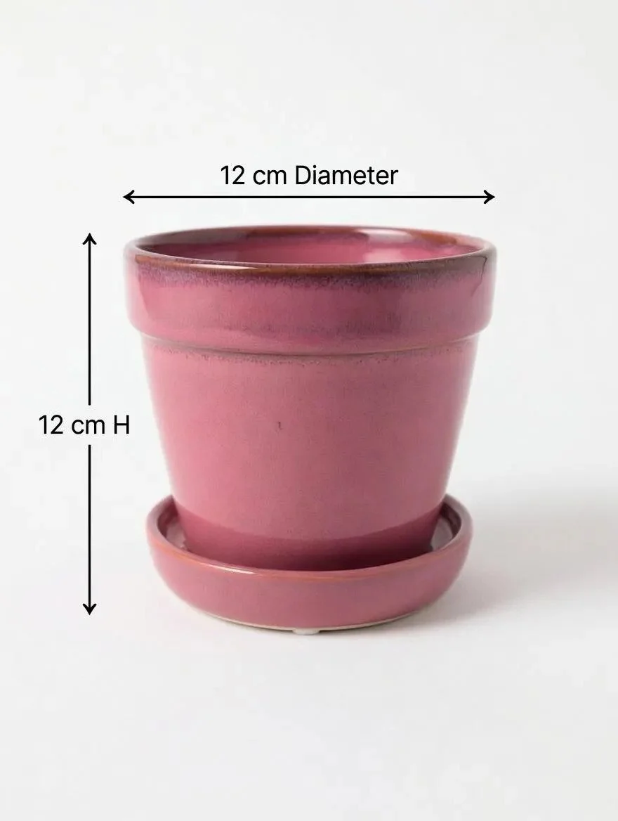 Pink_Ceramic_Plant_Pot-1.jpg