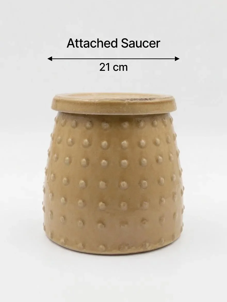 Yellow_Glazed_Ceramic_Plant_Pot-7.jpg