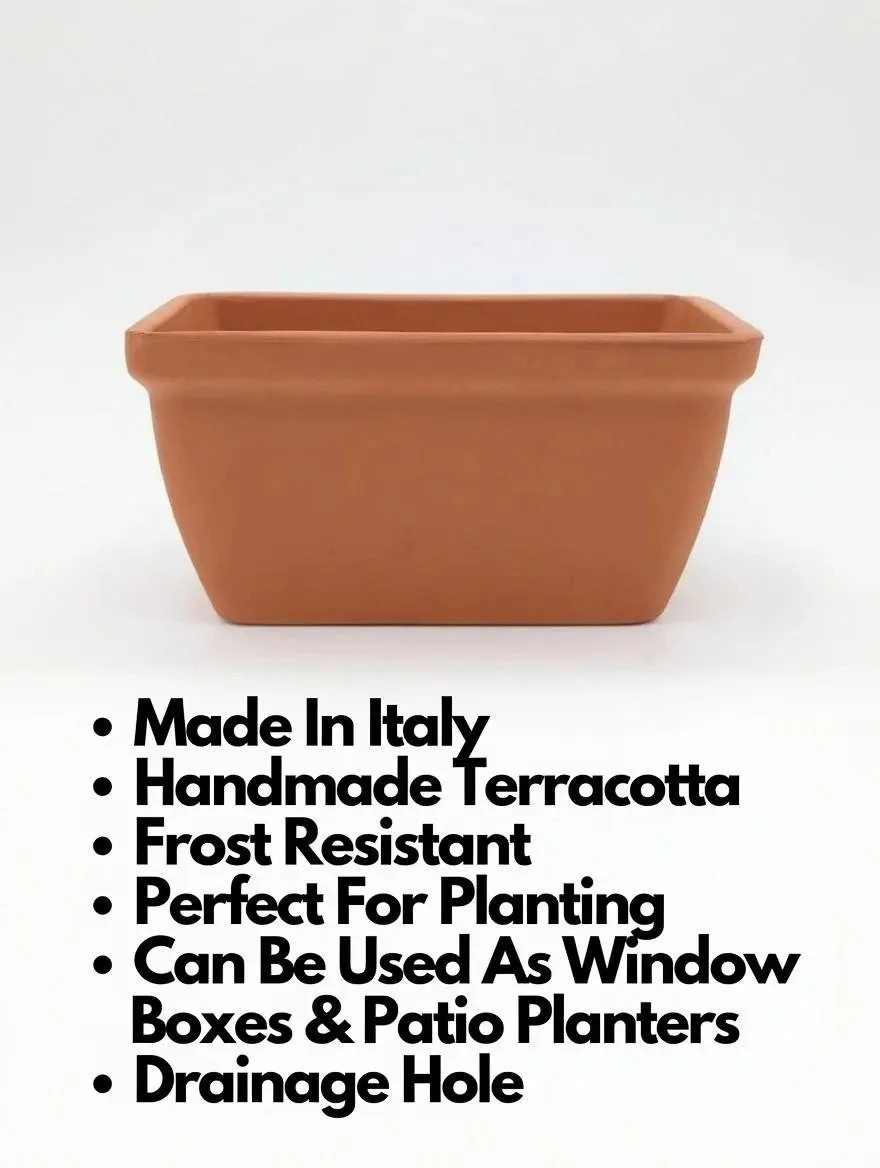 Terracotta_Detail.jpg