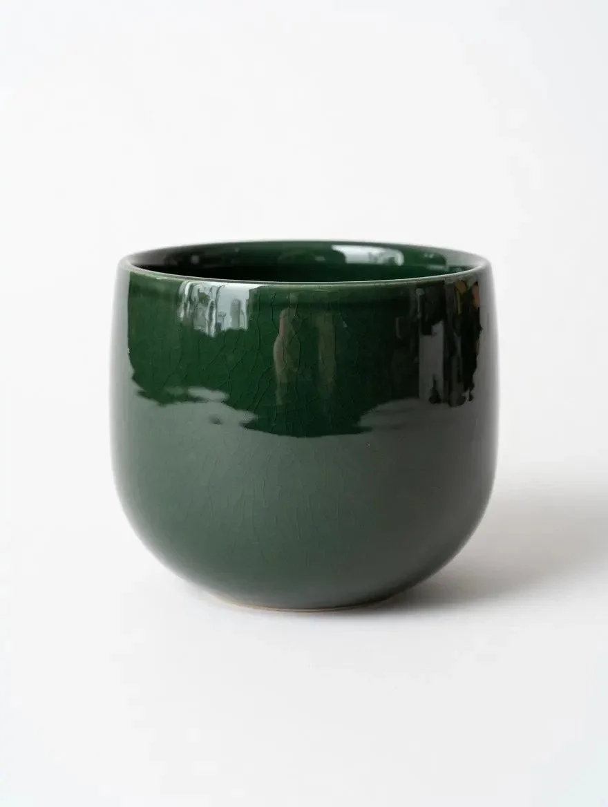 Green Ceramic Plant Pot (12cm) - Modern Glazed Indoor Planter