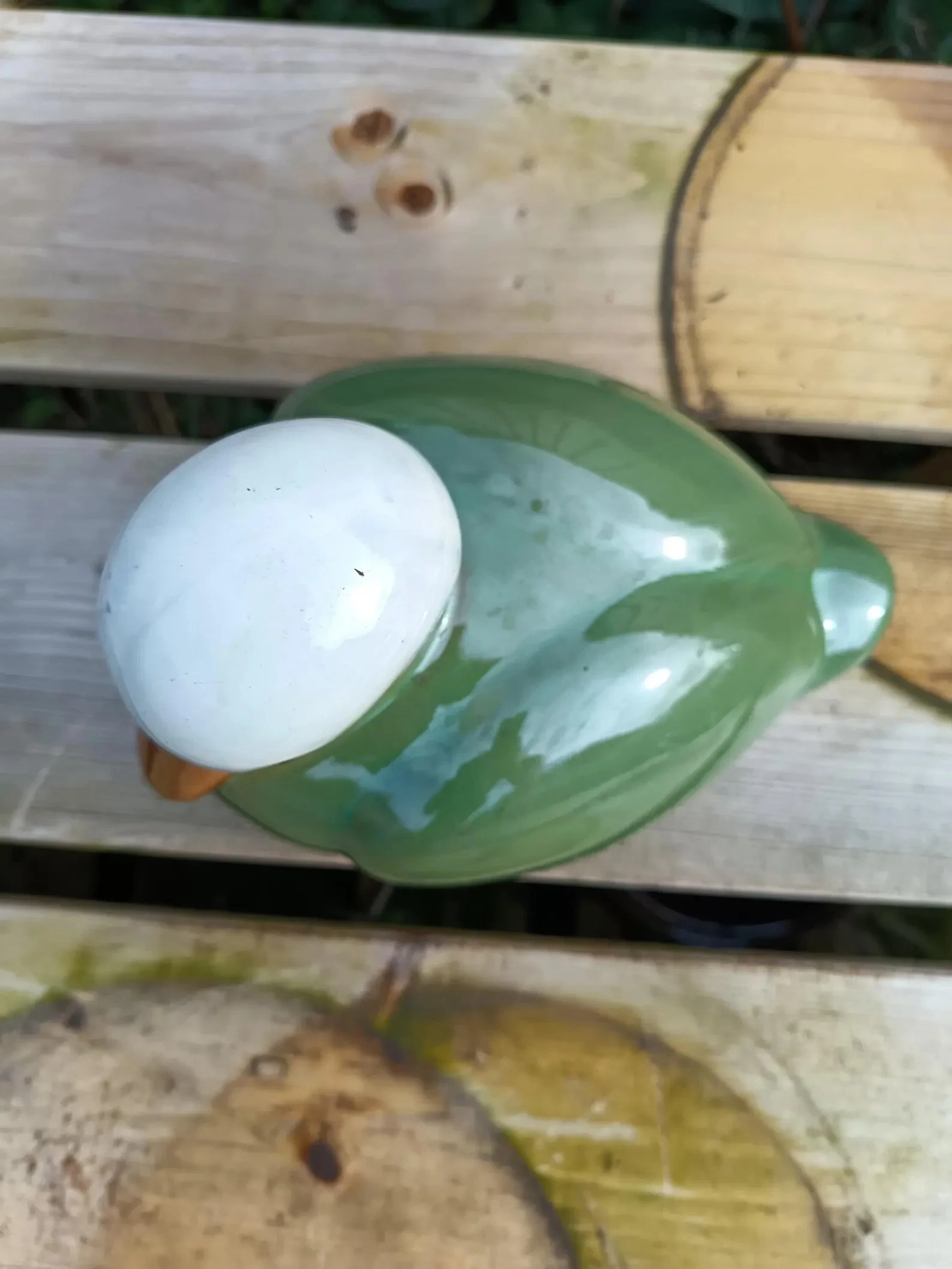 Ceramic_Duck-0.jpg