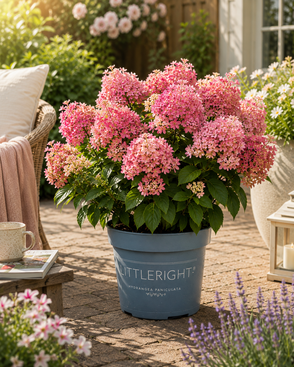 Hydrangea-Pink.png
