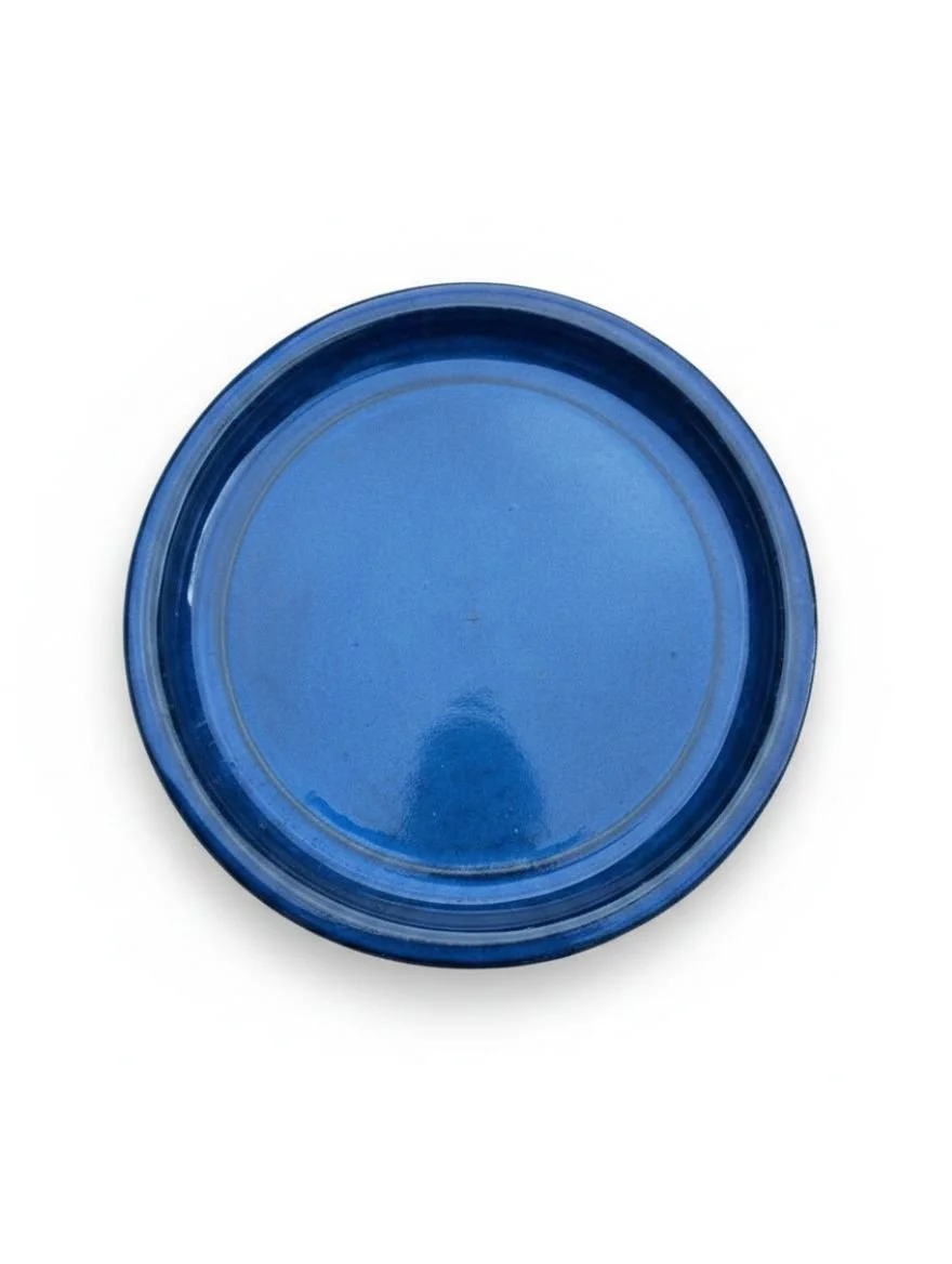 Ceramic_Blue_Plant_Sauce-Main.jpg
