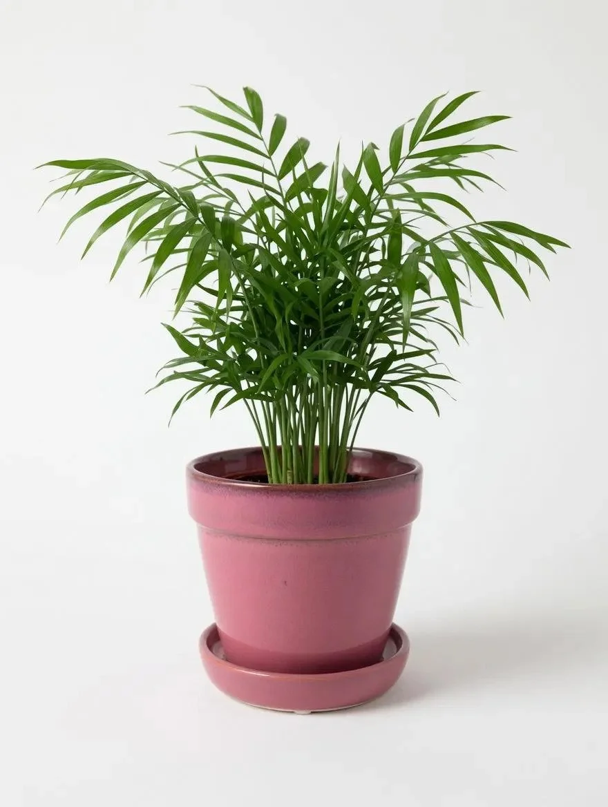 Pink_Ceramic_Plant_Pot-3.jpg