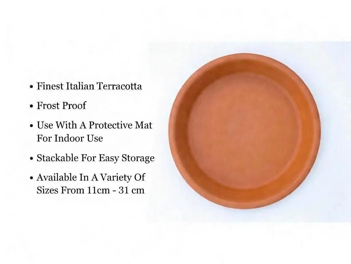 Terracotta_Plant_Saucers-2.jpg