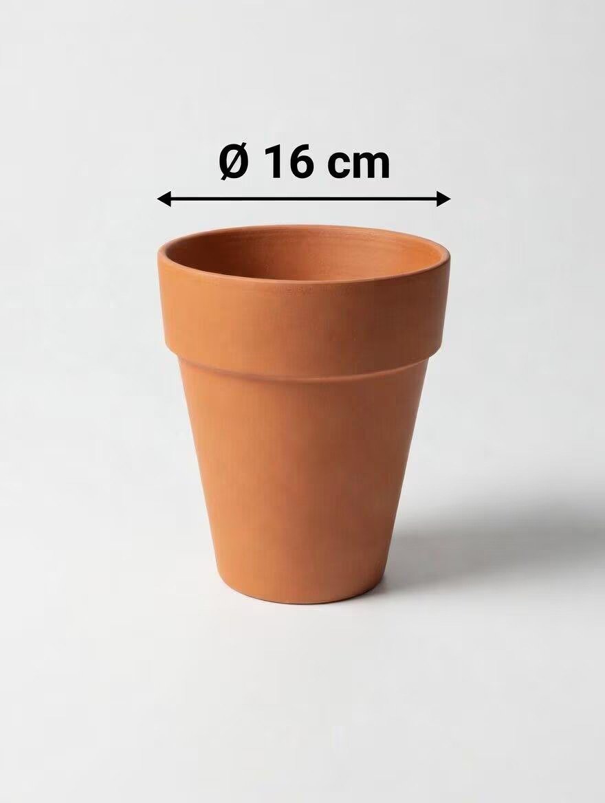 LongTom_Terracotta_Pot-3.jpg