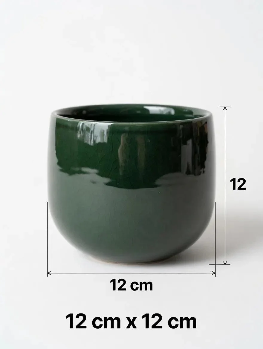 Green_Ceramic_Pot-1.jpg
