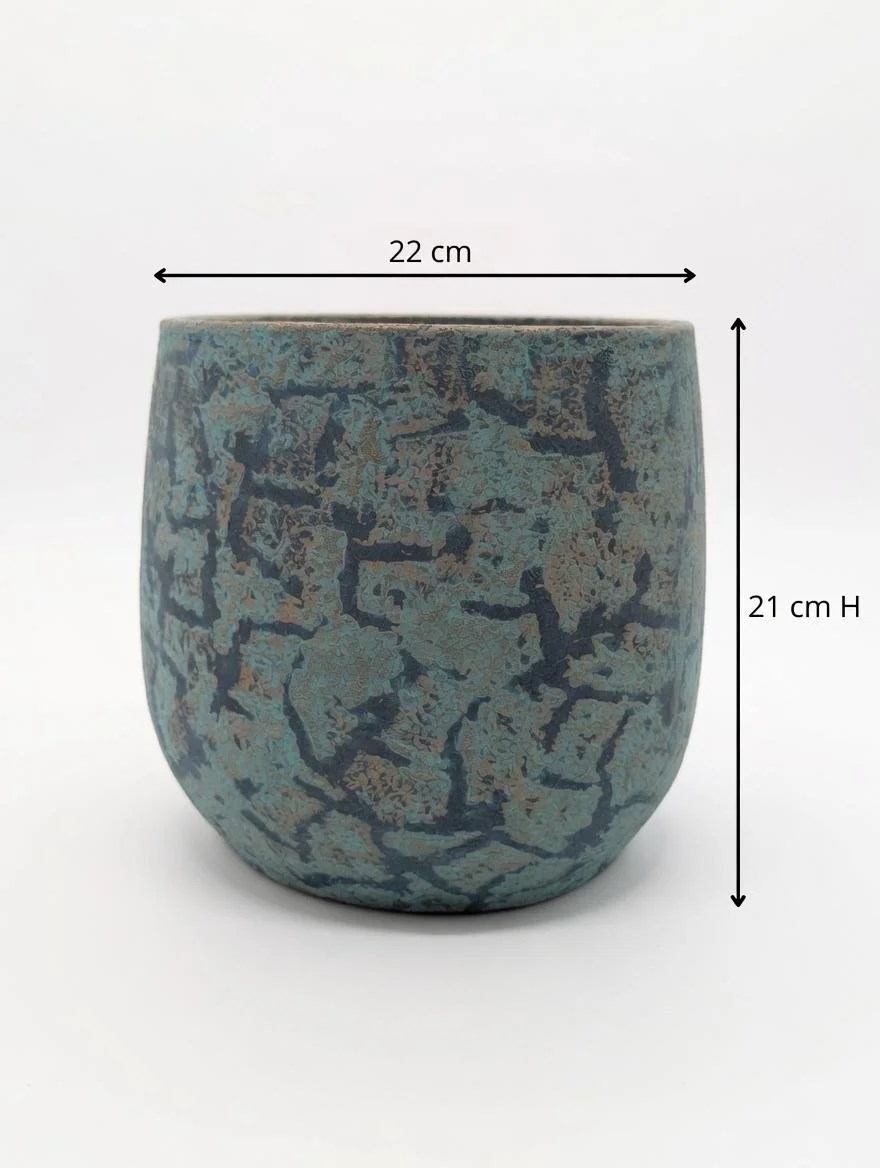 Blue_Ceramic_Matte_Plant-1.jpg