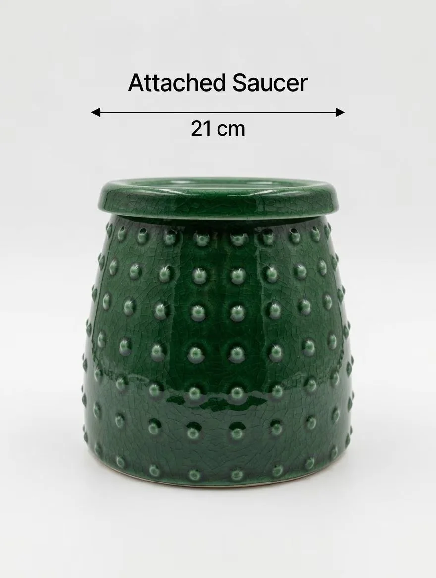 Green_Glazed_Ceramic_Plant-7.jpg