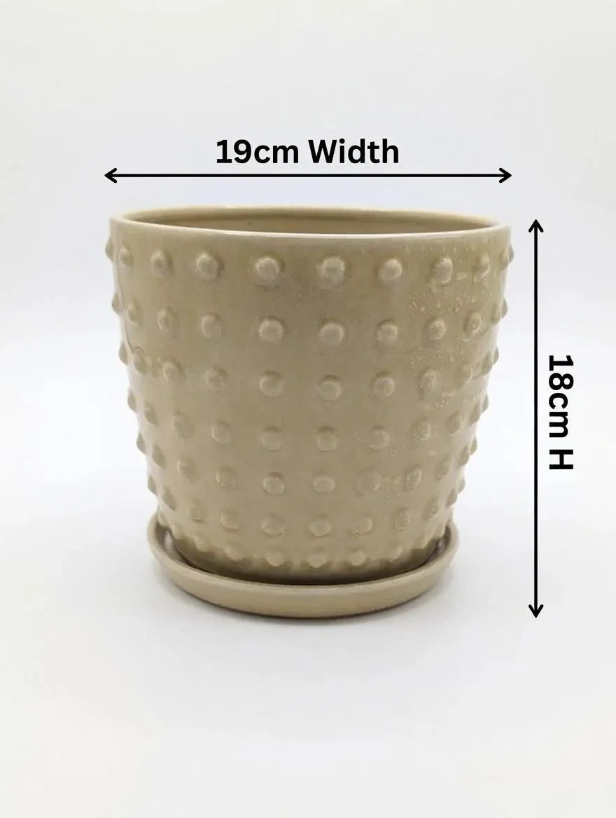 Yellow_Glazed_Ceramic_Plant_Pot-2.jpg