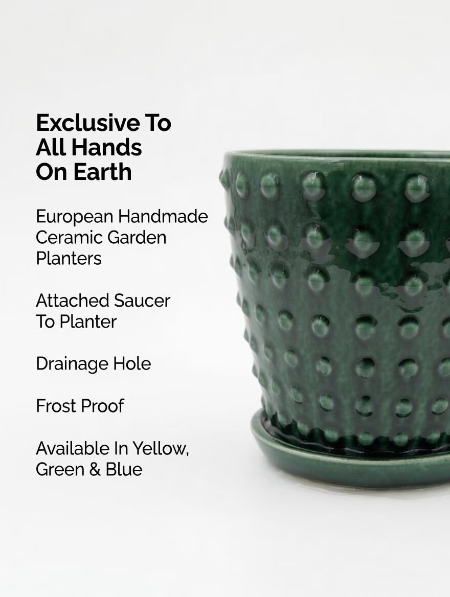 Green_Glazed_Ceramic_Plant-10.jpg