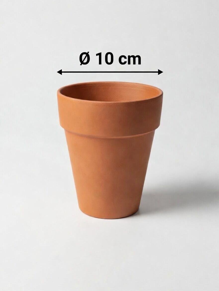 LongTom_Terracotta_Pot-2.jpg