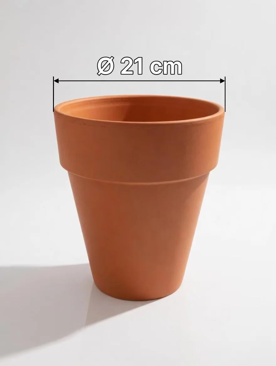 LongTom_Terracotta_Pot-5.jpg