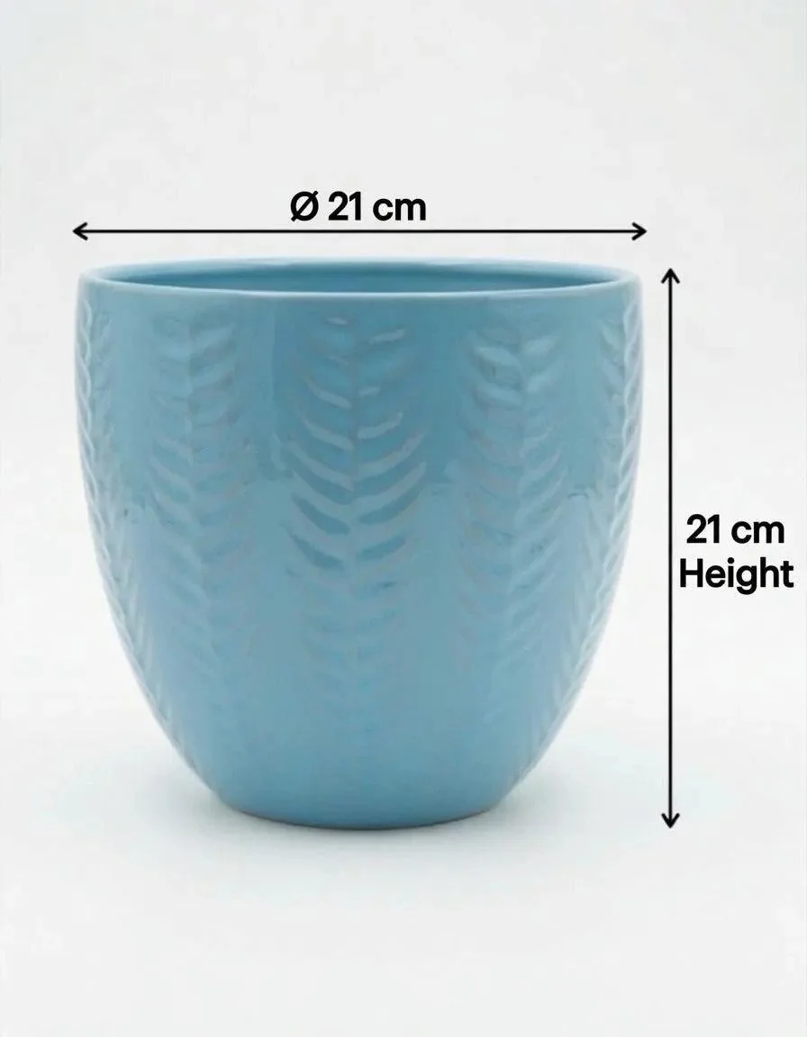 Blue_Glazed_Ceramic_Plant_Pot-1.jpg