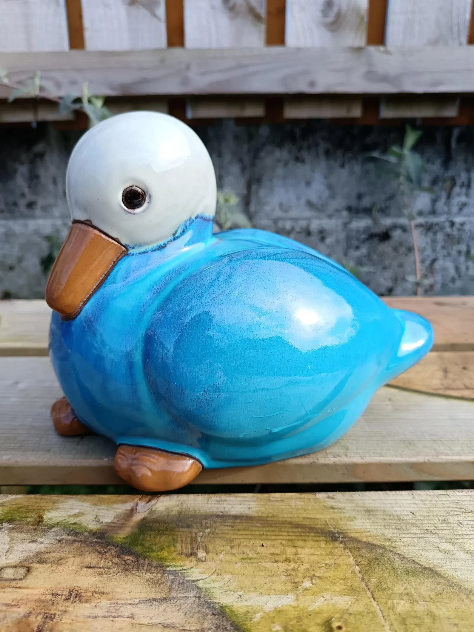 Ceramic_Duck-5.jpg