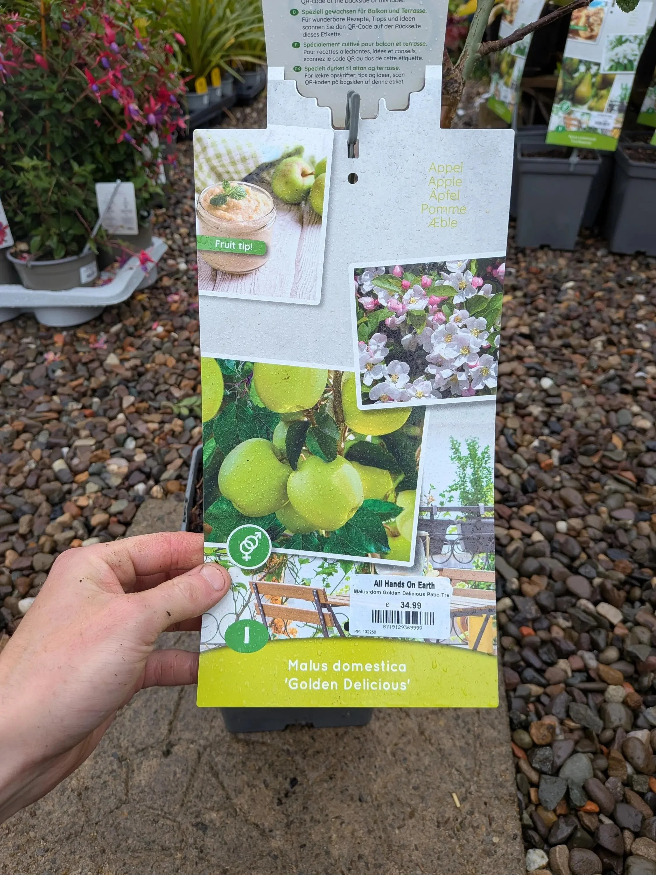 Patio_Fruit_Trees-5.jpg
