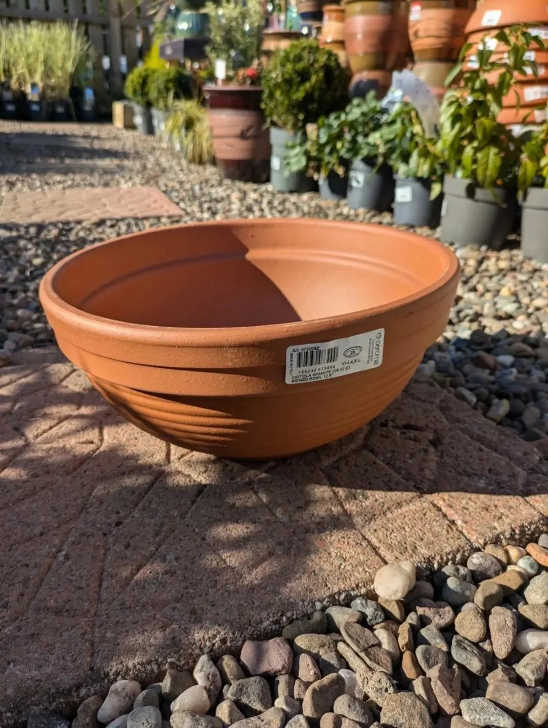 Terracotta_Plant_Bowls.jpg