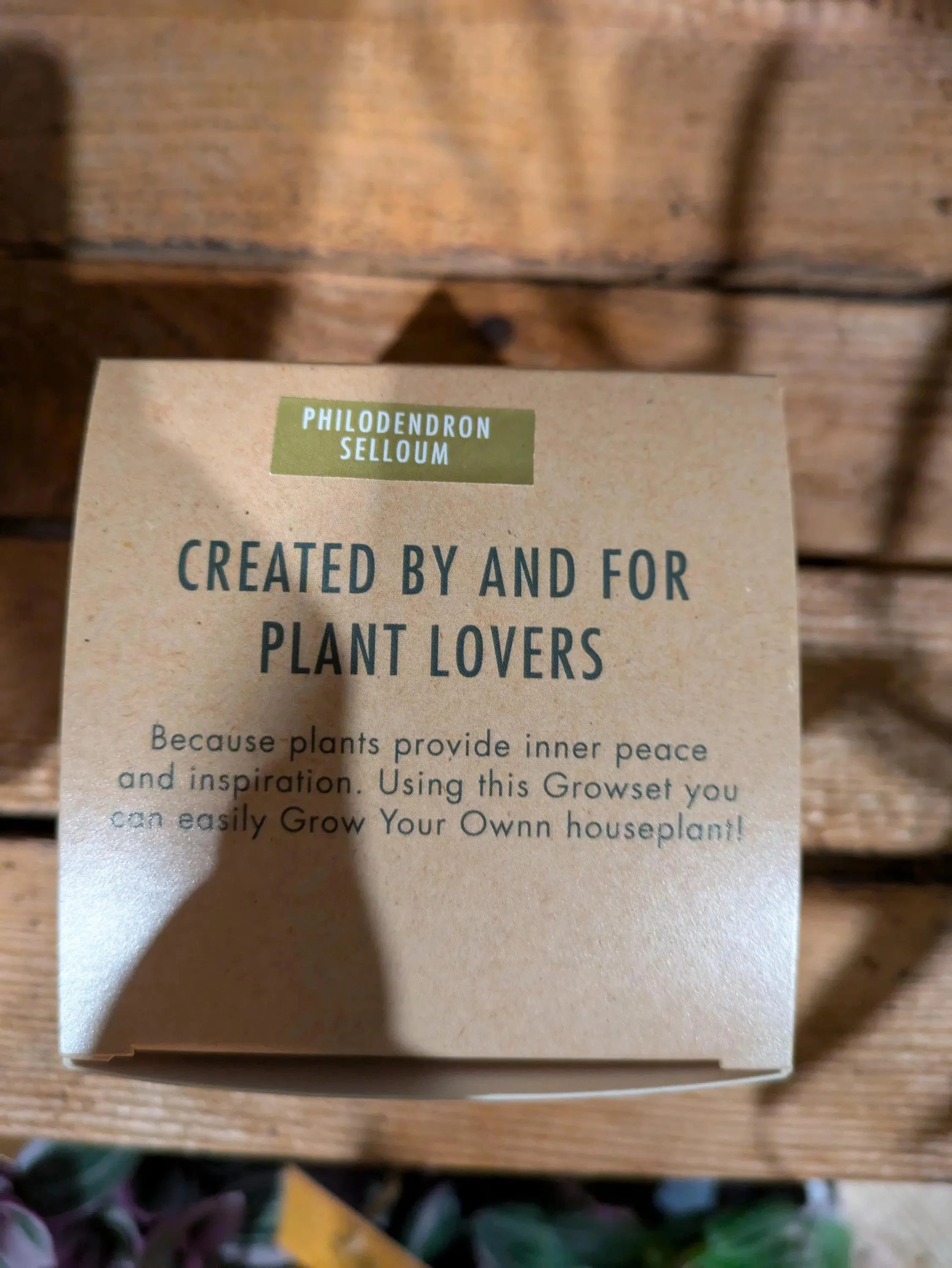 Plant_Set - 9.jpg
