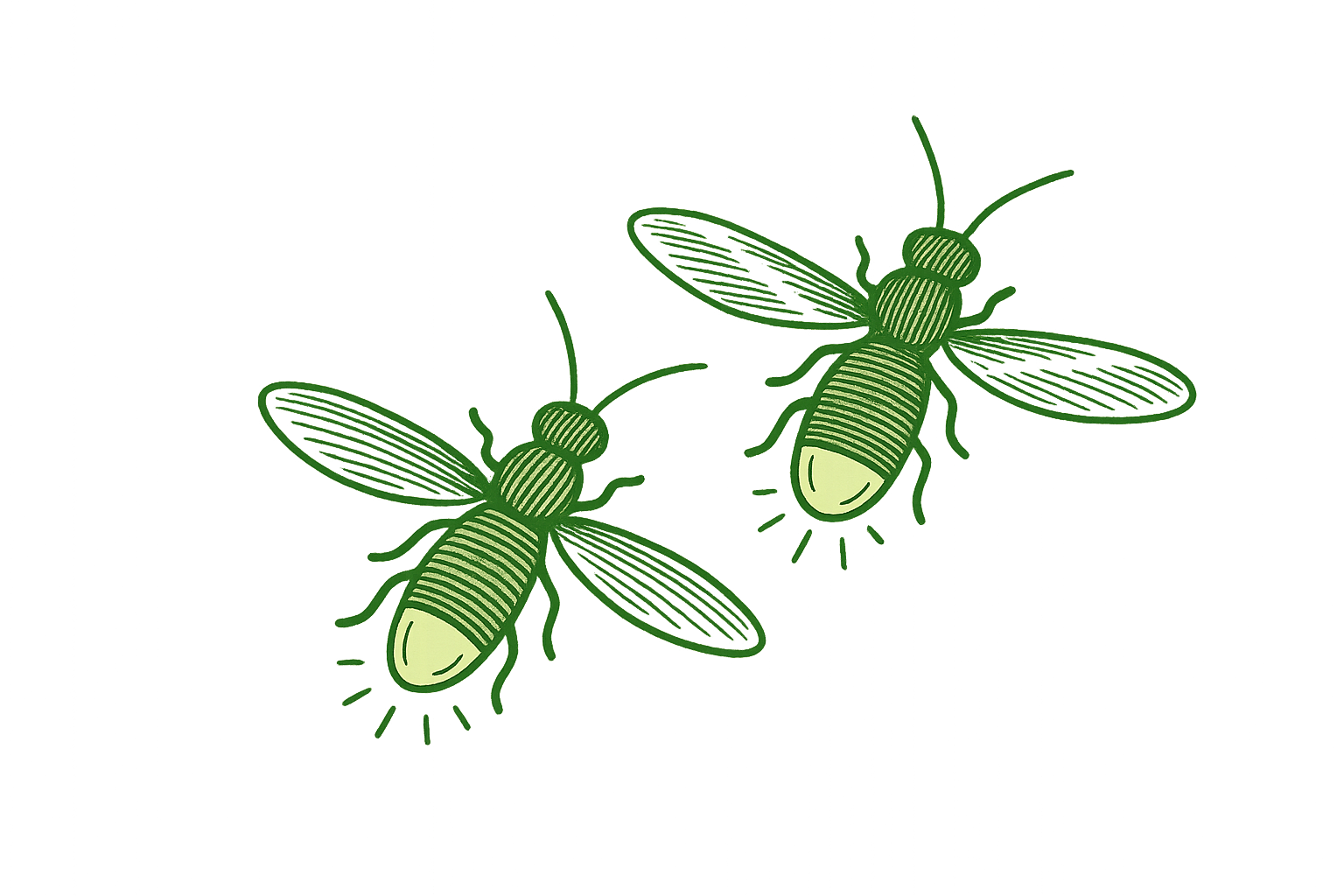Illustration of two fireflies with glowing abdomens, set against a dark green background.