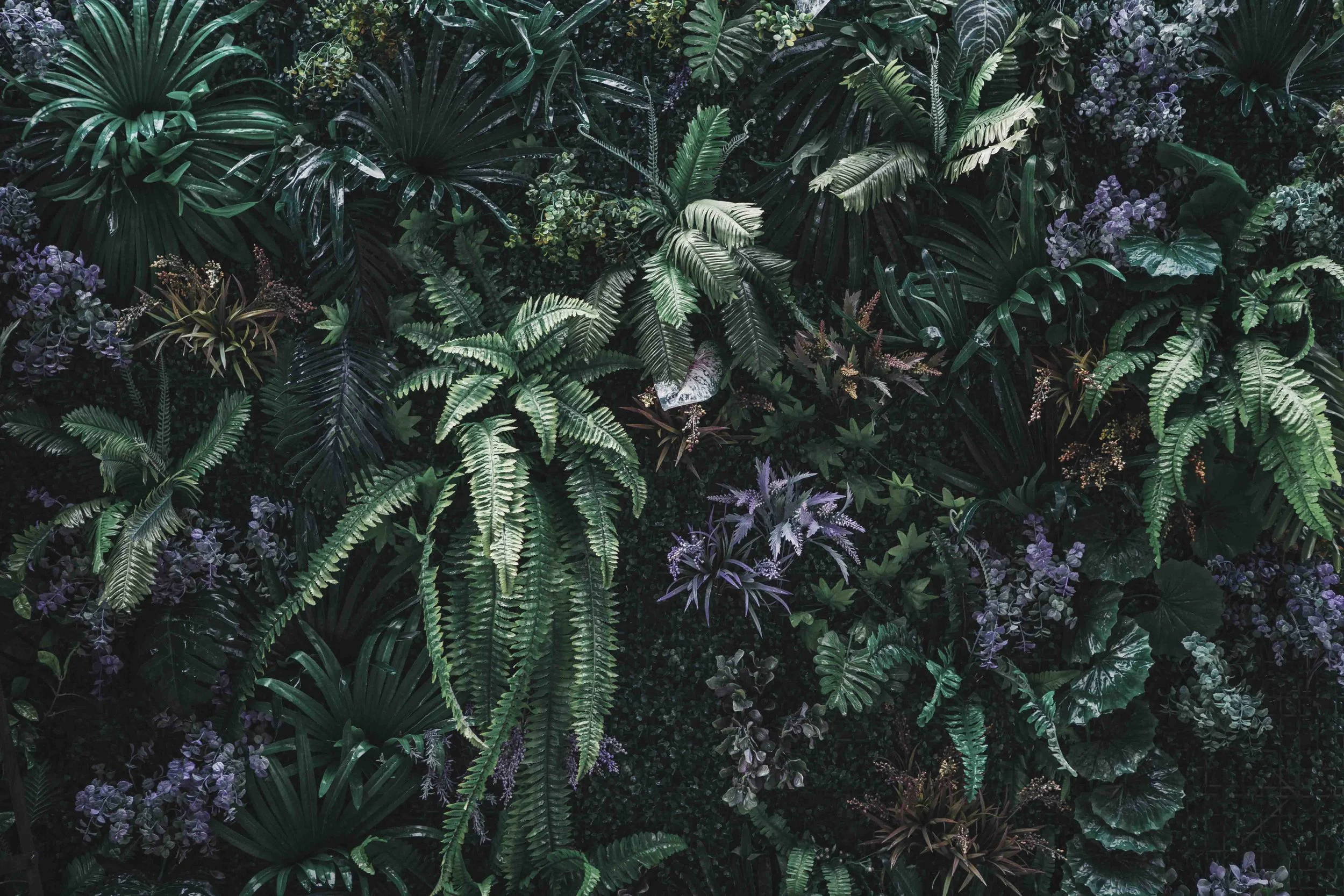 Dense wall of green tropical plants with various leaf shapes and shades, including ferns and broad-leafed foliage, with small purple flowers interspersed.