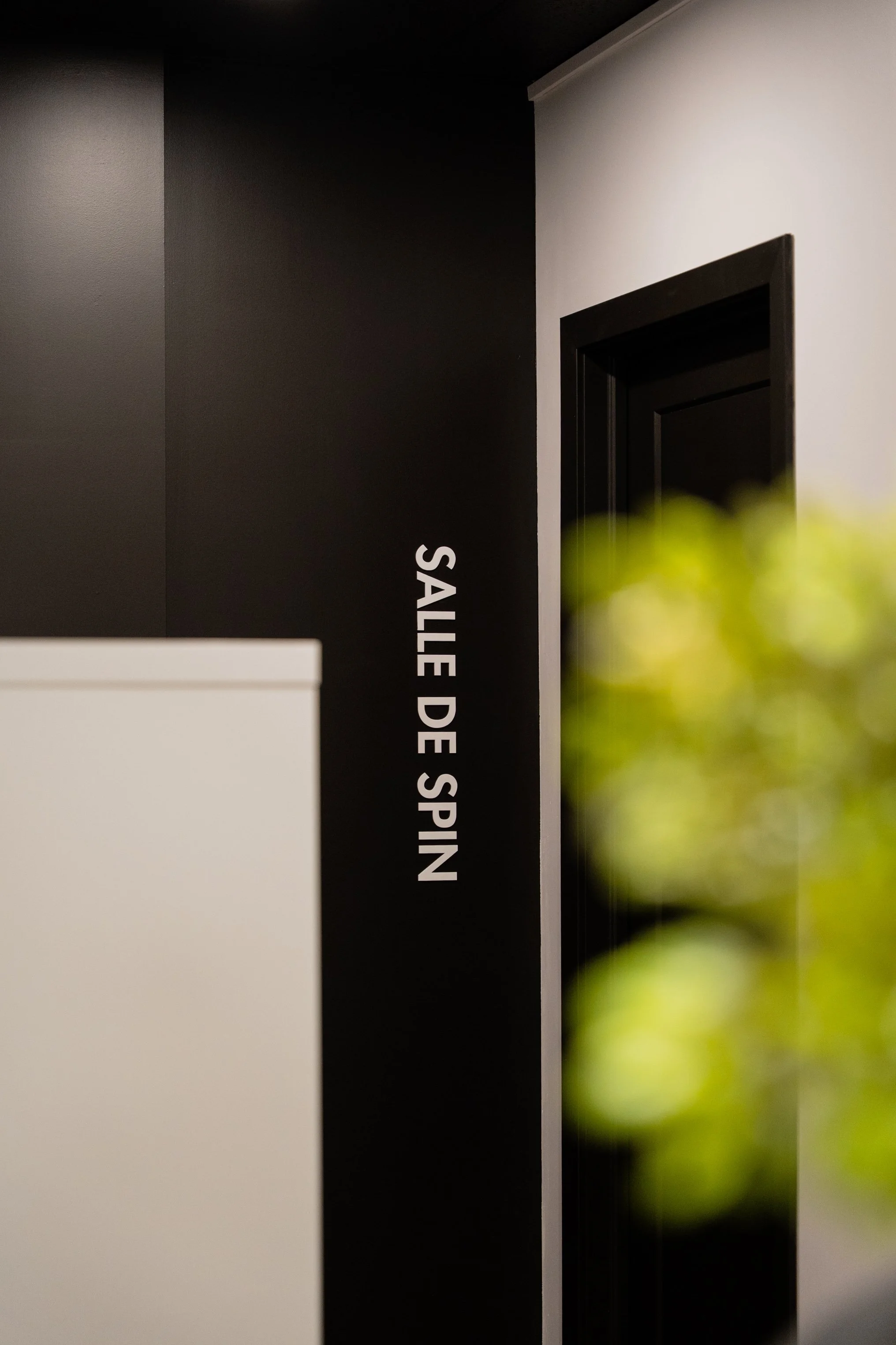 Studio, commercial, Spin, ALT SPIN, foncé, verdure, Spinning, entrainement