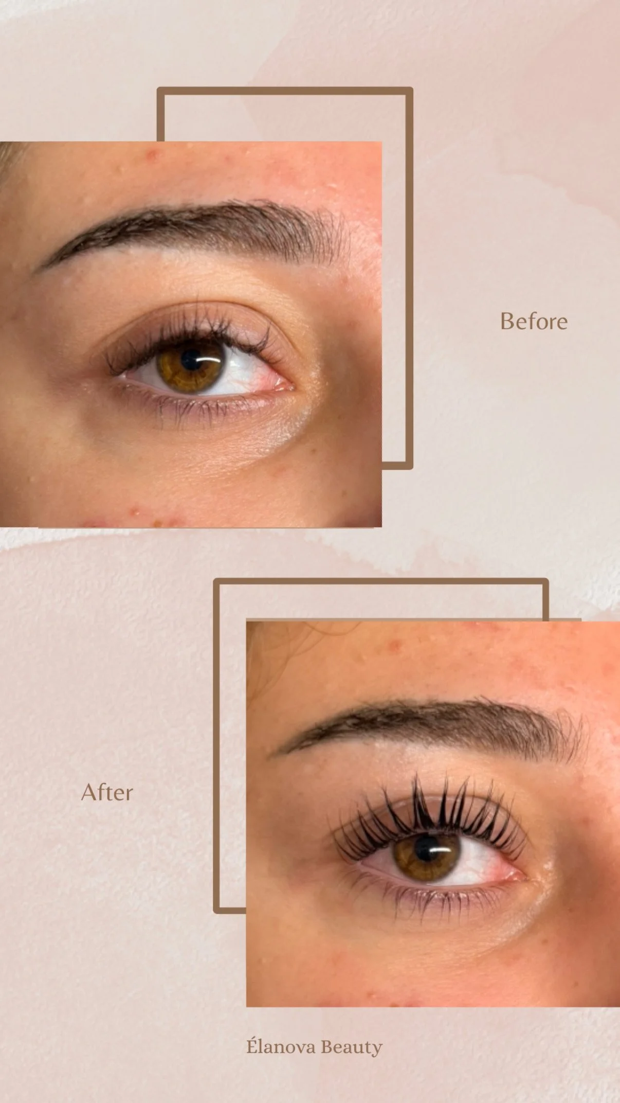 730F930F-0F7A-4CAB-B62E-64E5A1ED0EBA 2.JPG