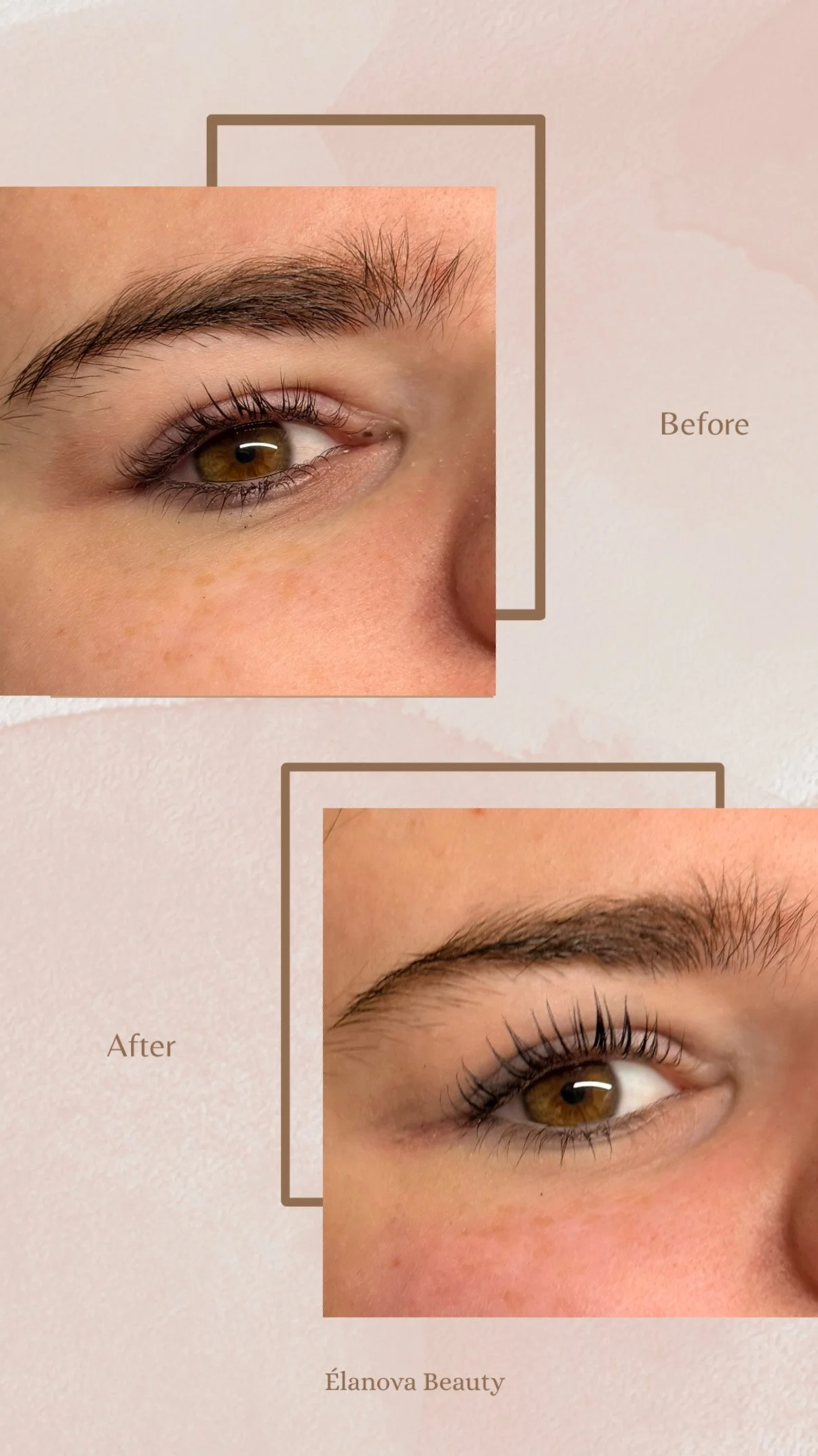 B60BFB9D-CEE3-4DD5-A610-D9CBA82C4980 2.JPG