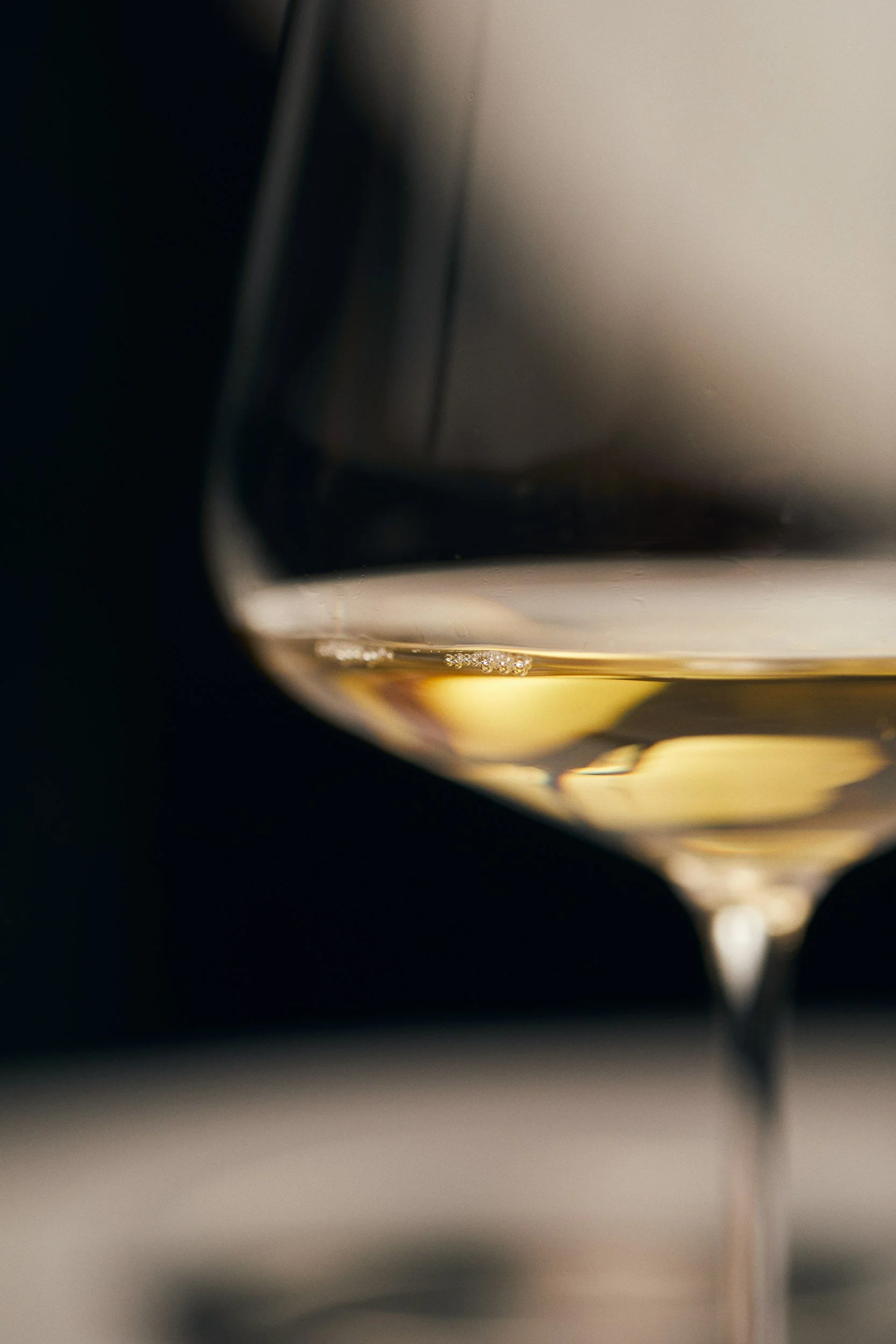 Close-up of a glass of white wine with bubbles at the rim, with a blurred background.