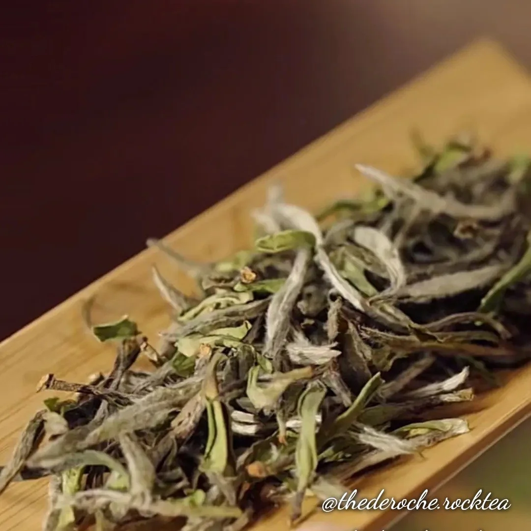 Special White  Peony 50g