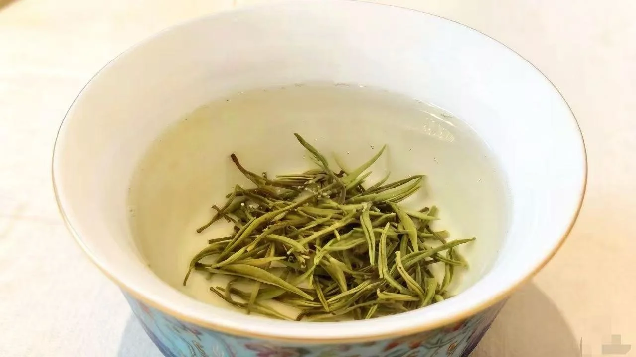 GuZhangMaoJian: Ancient Peak Sliver Needle Green Tea 25g