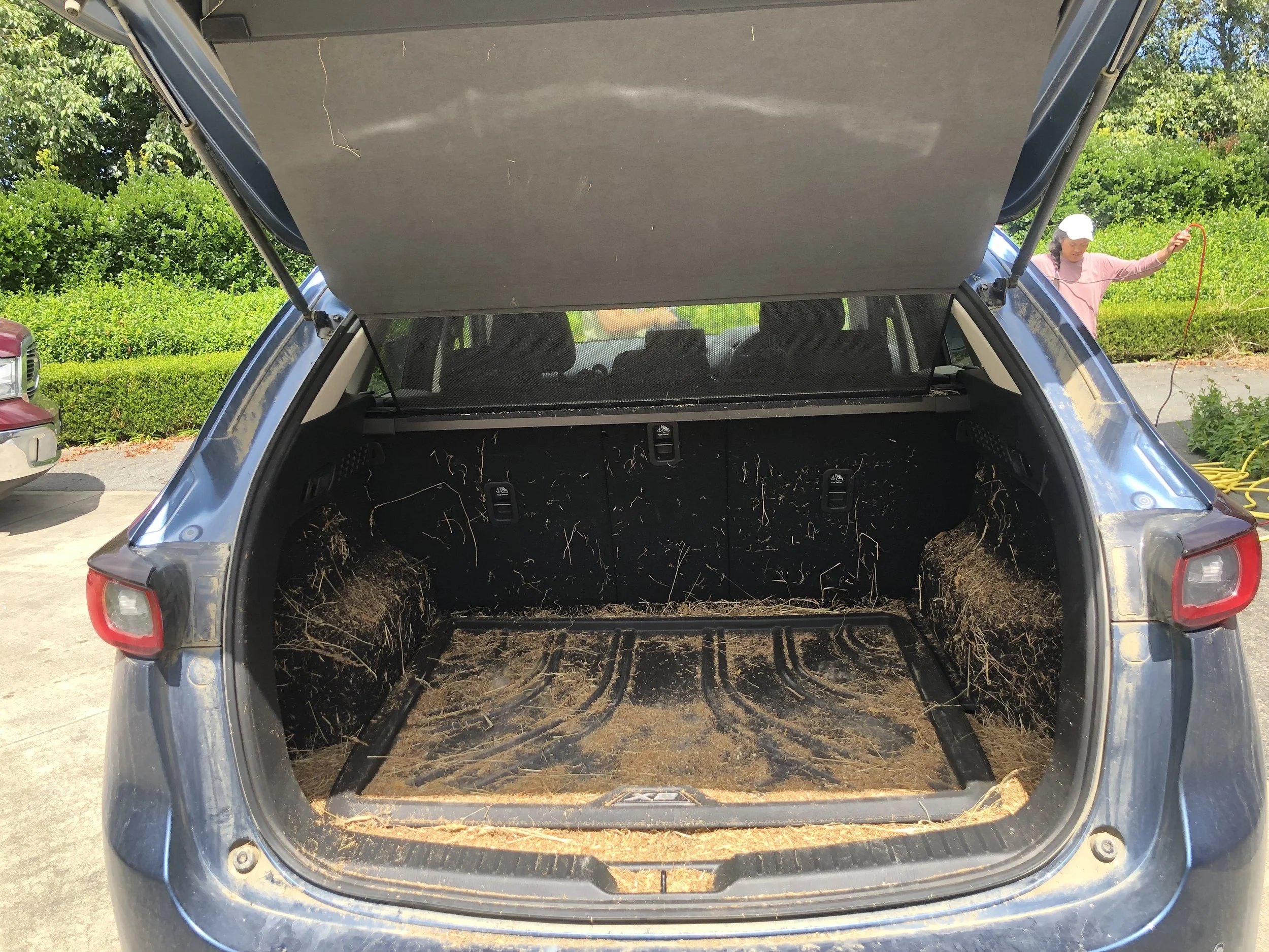 Messy vehicle boot with grass and pet hairs before deep cleaning service. 