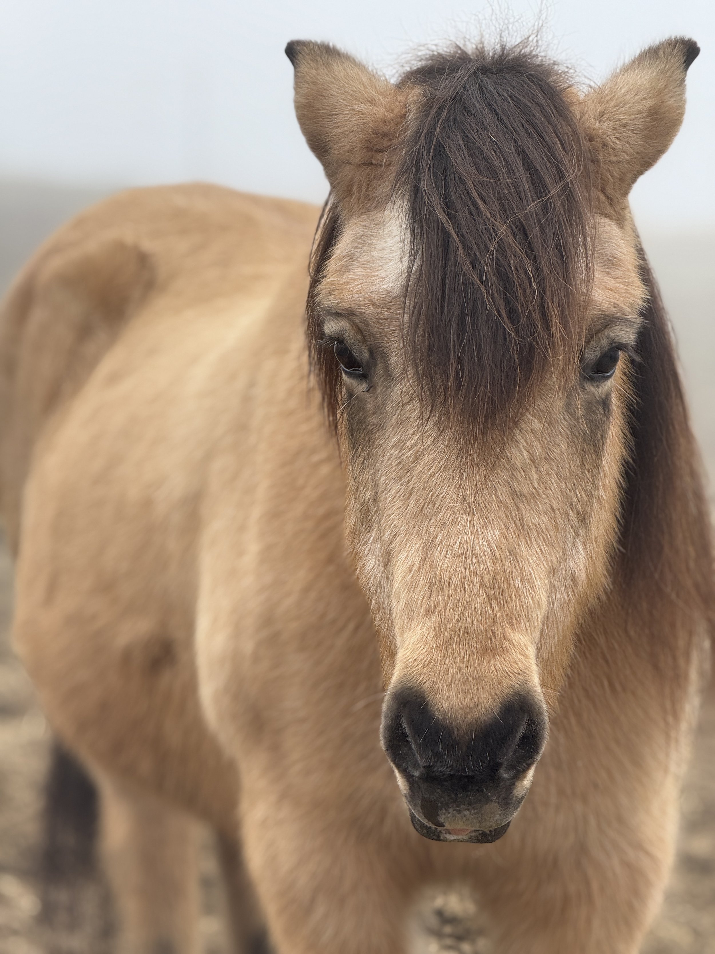 A Sunset Club Retool