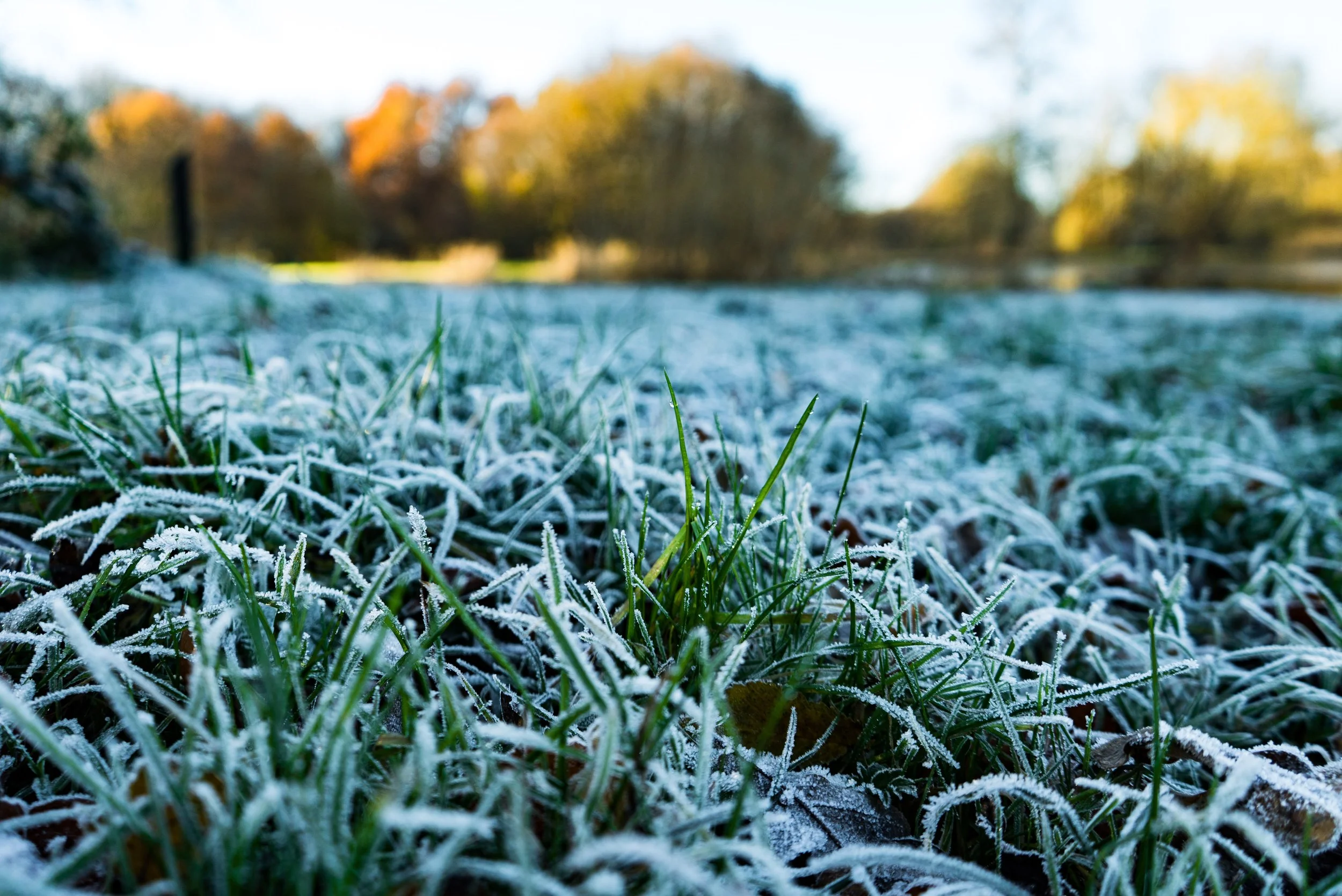 Winterization and Startups
