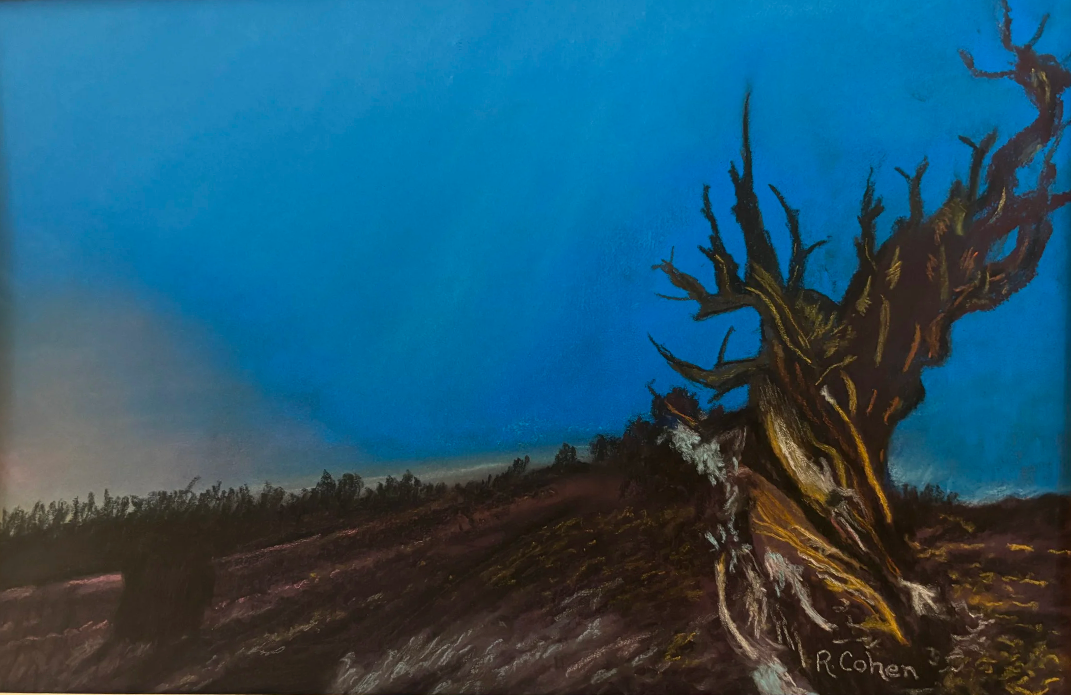 RICHARD COHEN ~ "From a photo my cousin sent me (he sends photos from his worldwide travels and I have painted many of them). I loved the placement of the tree on the right side of the photo with the light in the sky on the left."
