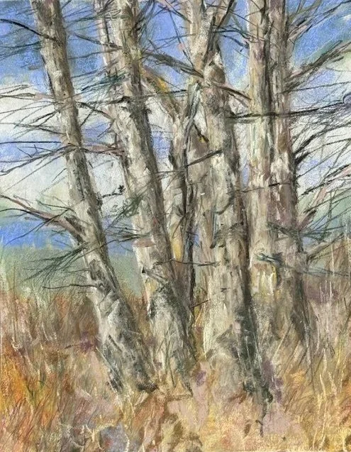 
WILL EVANS ~ Copse #1, 12 x 9, Pastelmat - This was blocked in and alcohol washed creating an underpainting which I rather liked as an abstract. Then using Nupastels and Terry Ludwigs, I took it to the next level. It’s another fun and informative ch