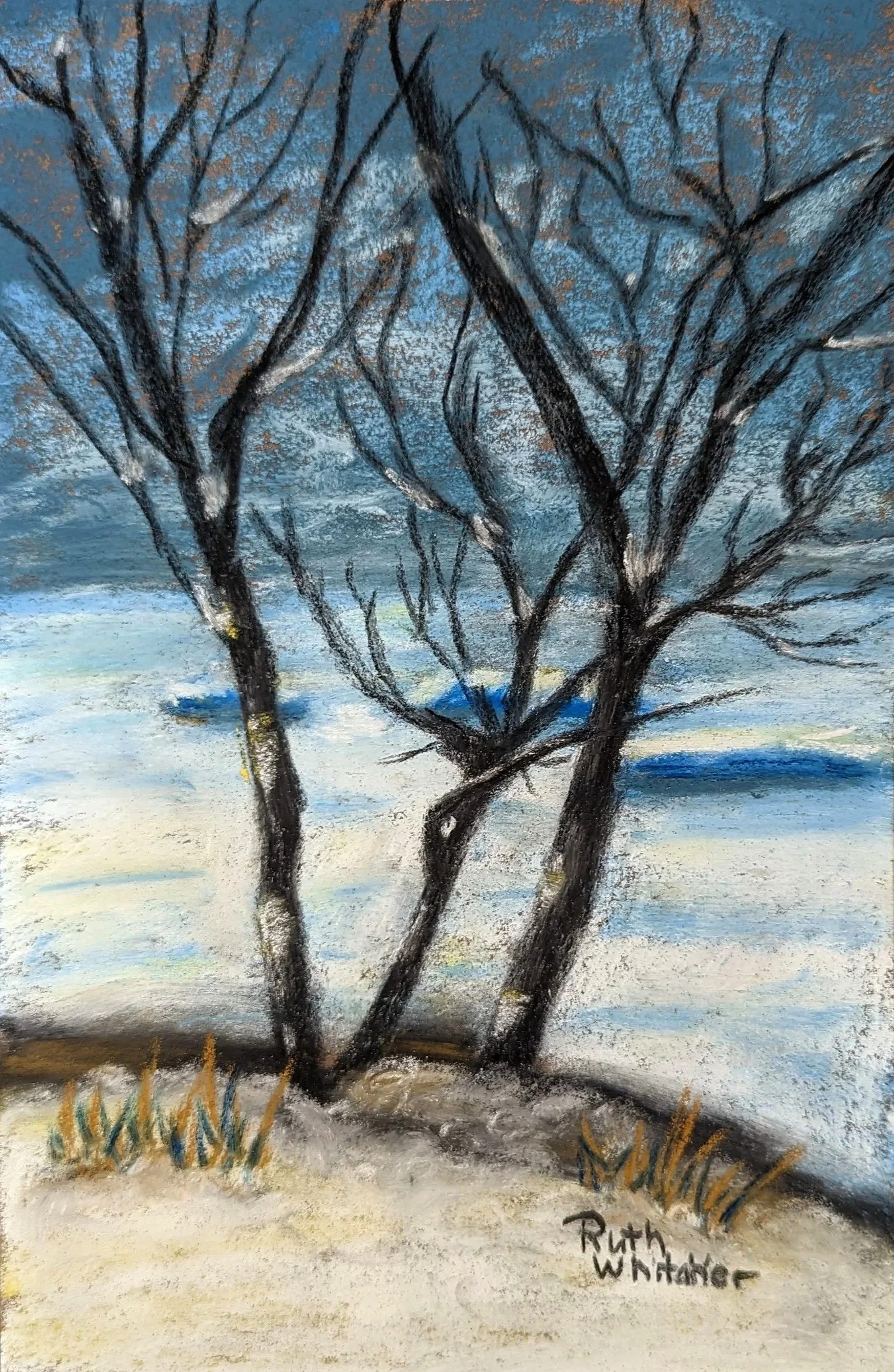 RUTH WHITAKER ~ Winter Trees on the Lake,  7 x 5, Uart 400, assorted soft pastels - "I love painting trees. Definitely one of my favorite subjects. This was painted from a photo I took along Lake Michigan. The Lake was frozen with ice pushed up in sm
